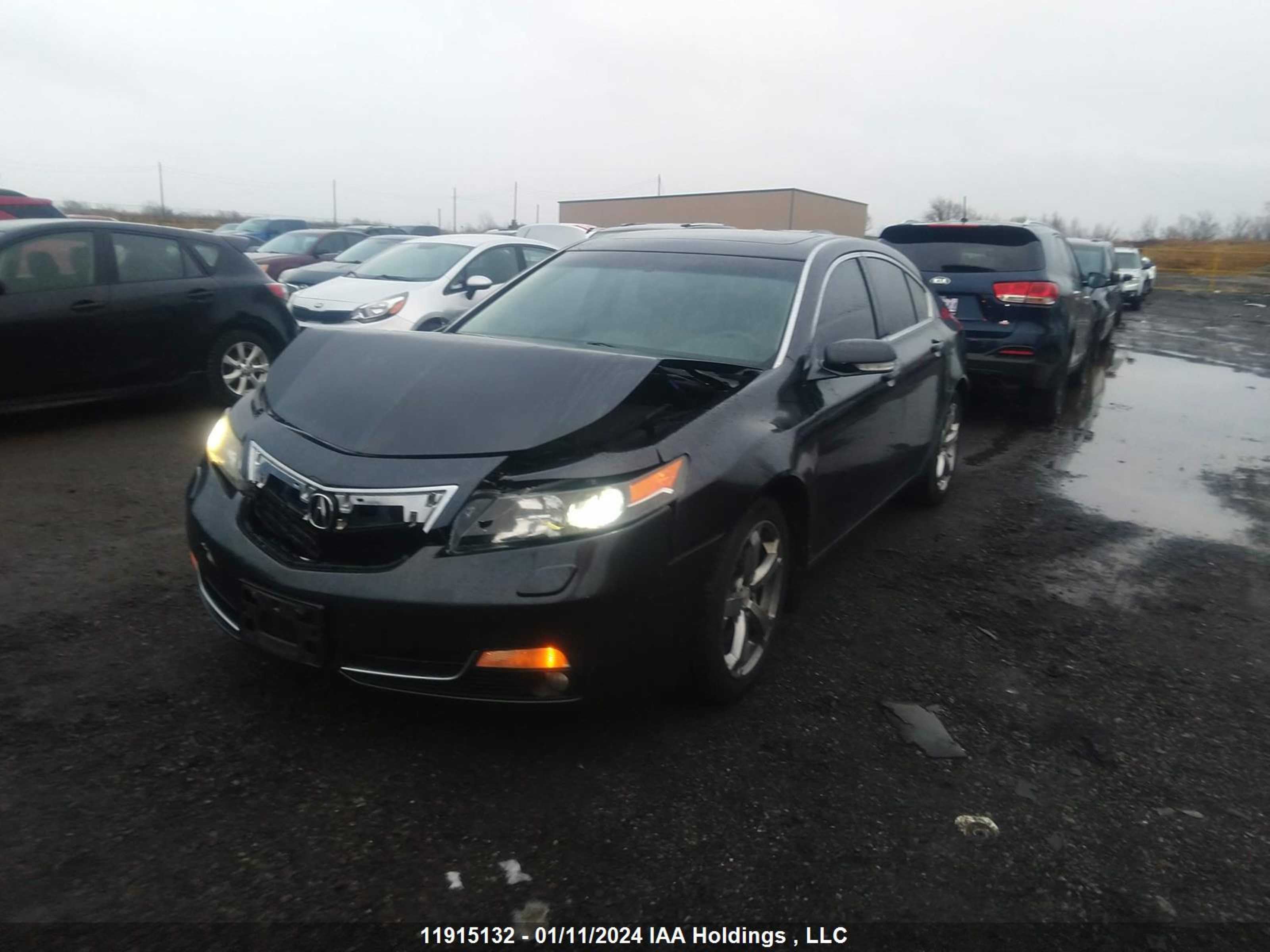 Photo 1 VIN: 19UUA9F79DA800918 - ACURA TL 