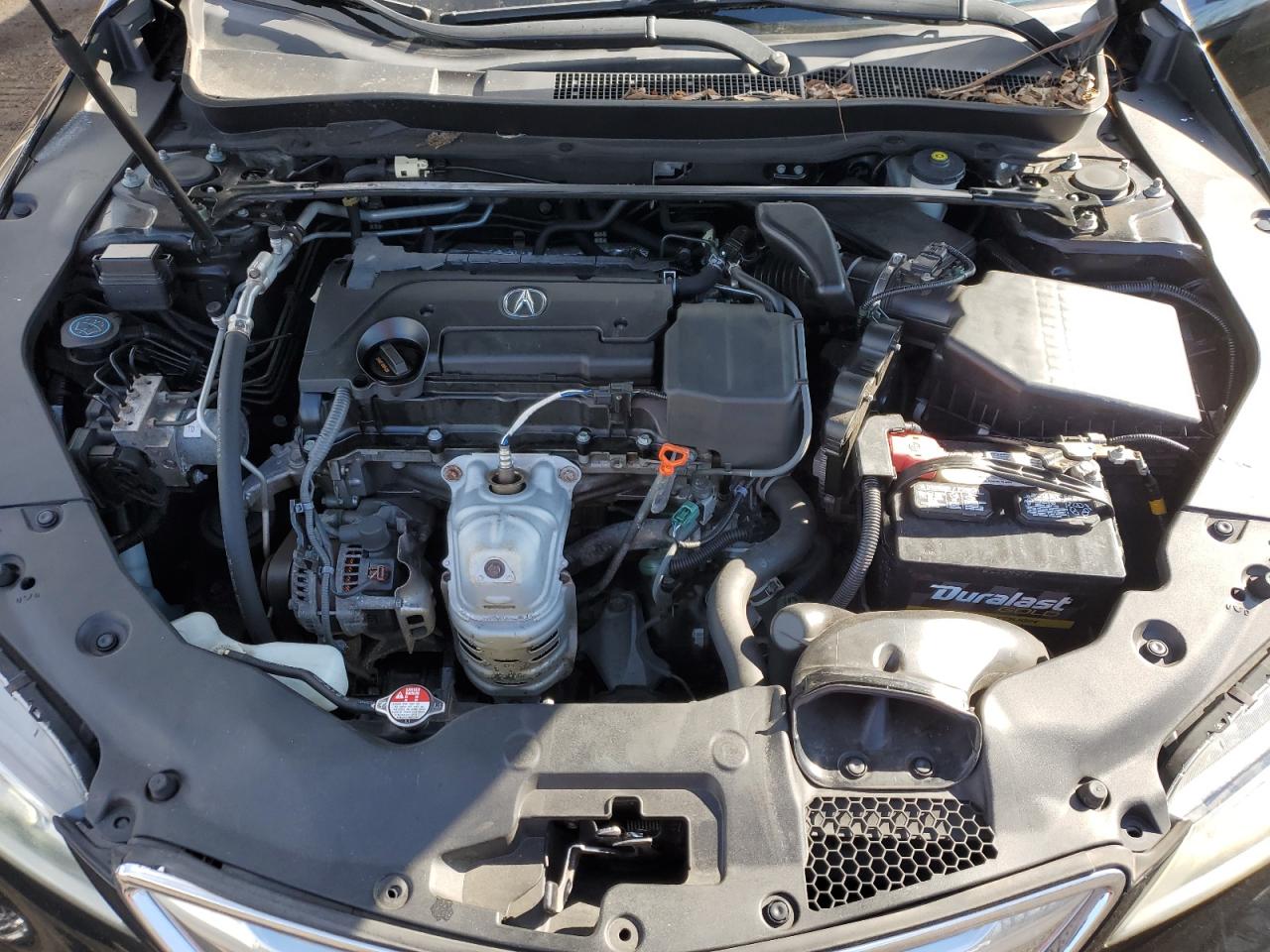 Photo 10 VIN: 19UUB1F31FA011029 - ACURA TLX 