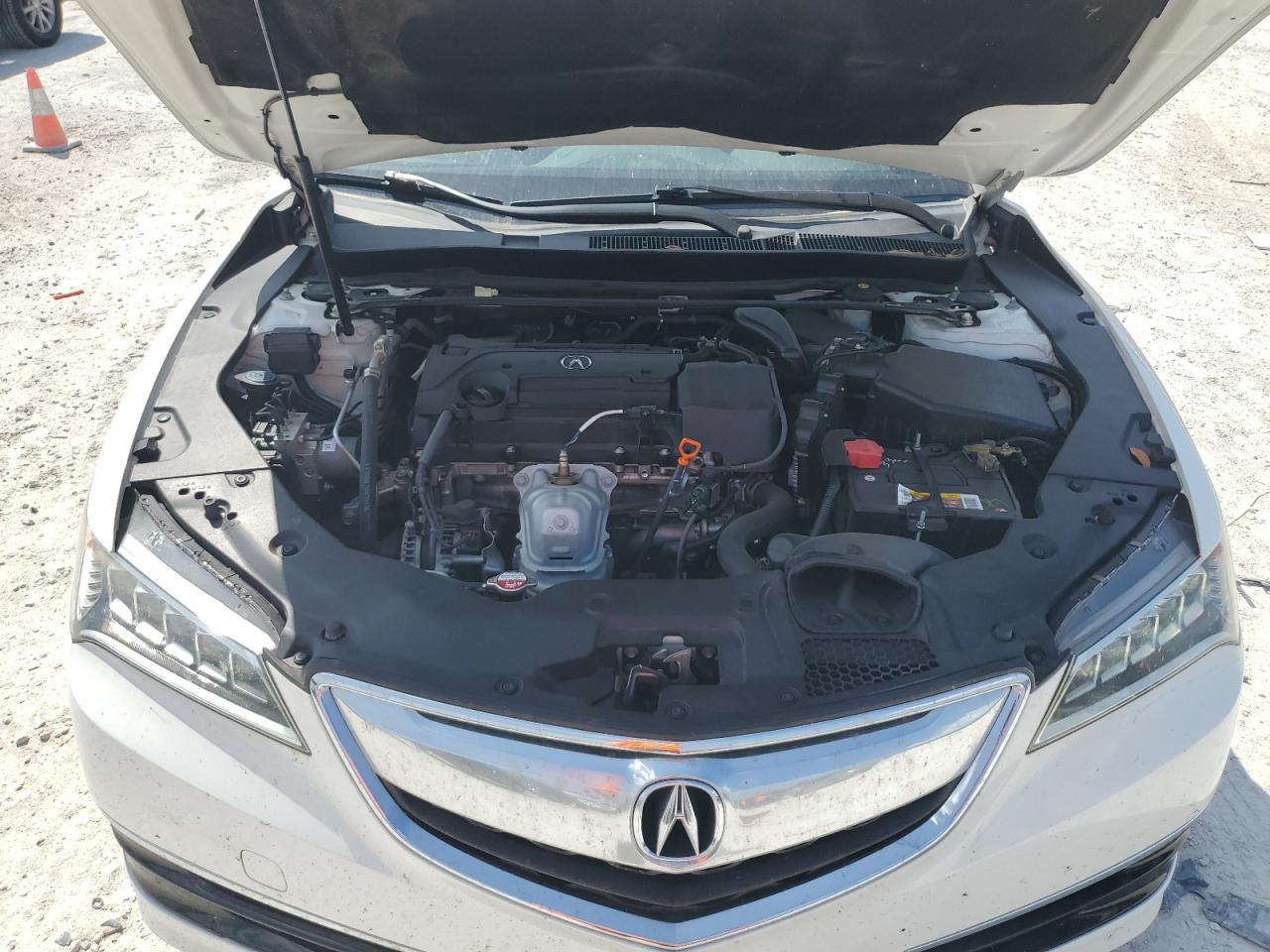 Photo 10 VIN: 19UUB1F32GA005094 - ACURA TLX 