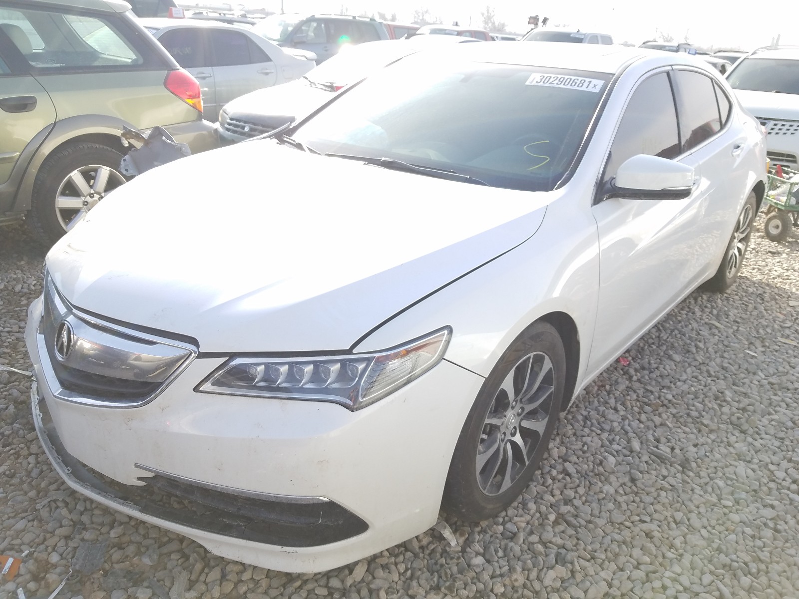 Photo 1 VIN: 19UUB1F37FA024237 - ACURA TLX 