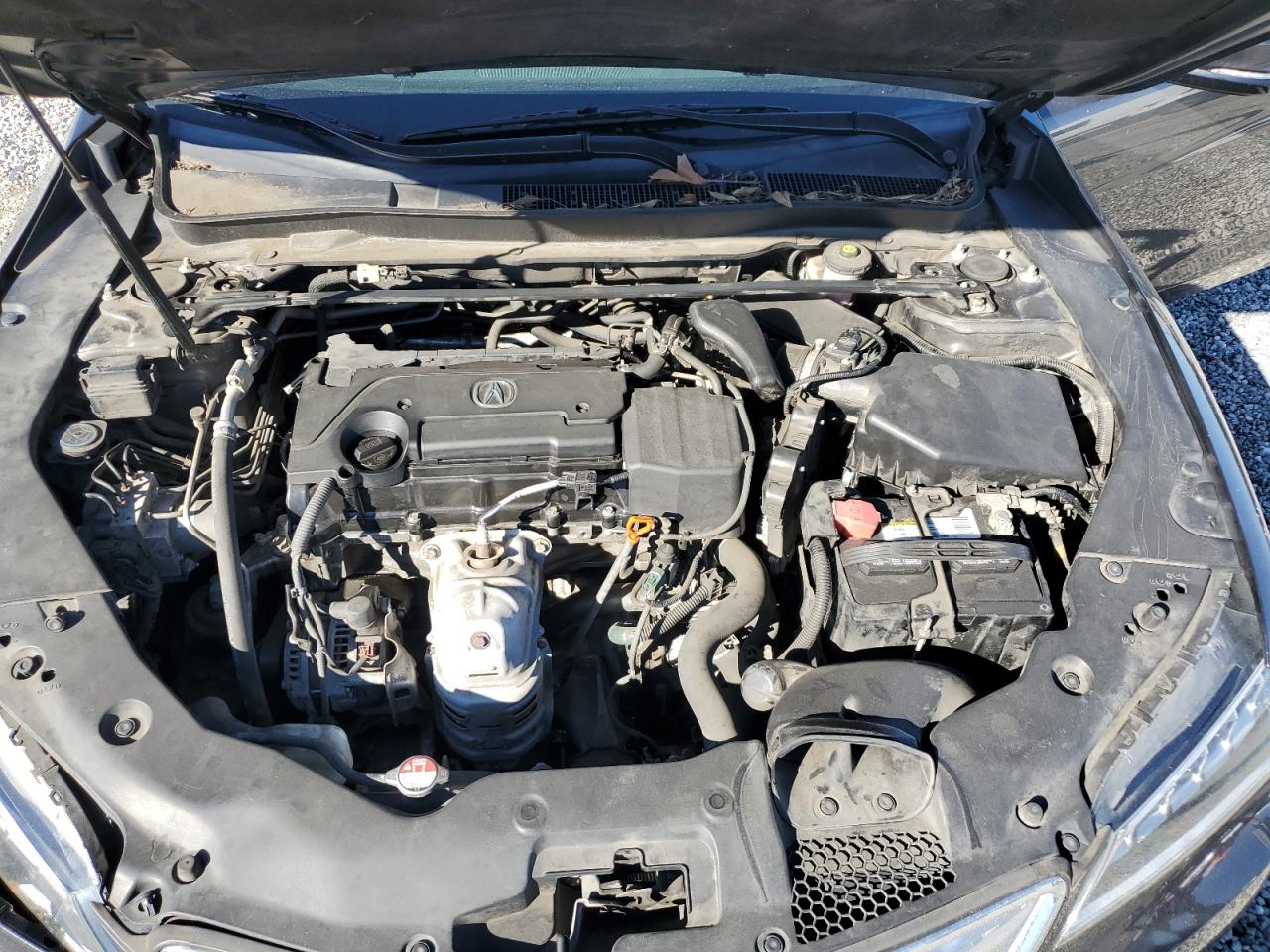 Photo 10 VIN: 19UUB1F38FA011299 - ACURA TLX 