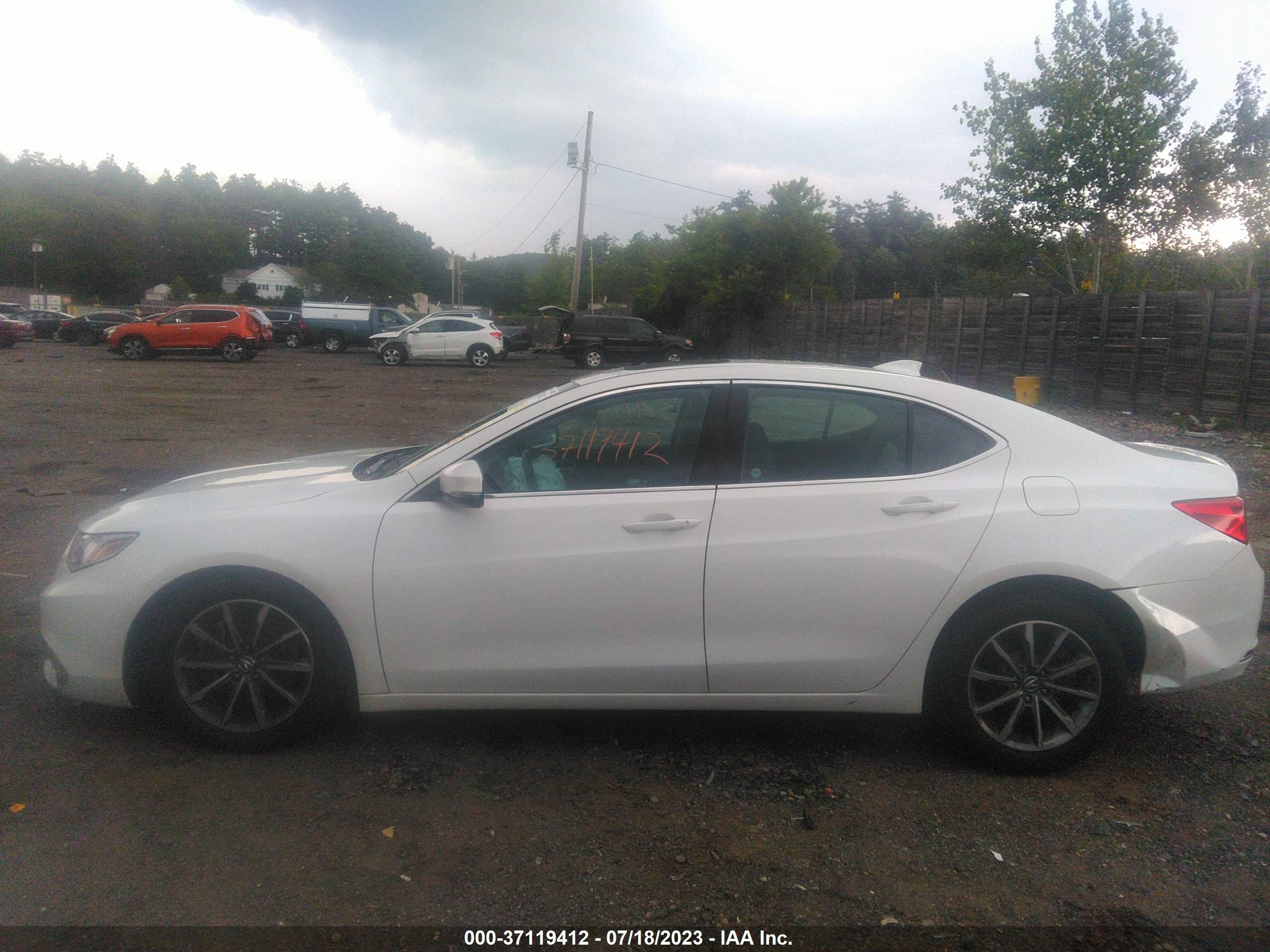 Photo 13 VIN: 19UUB1F39LA002445 - ACURA TLX 