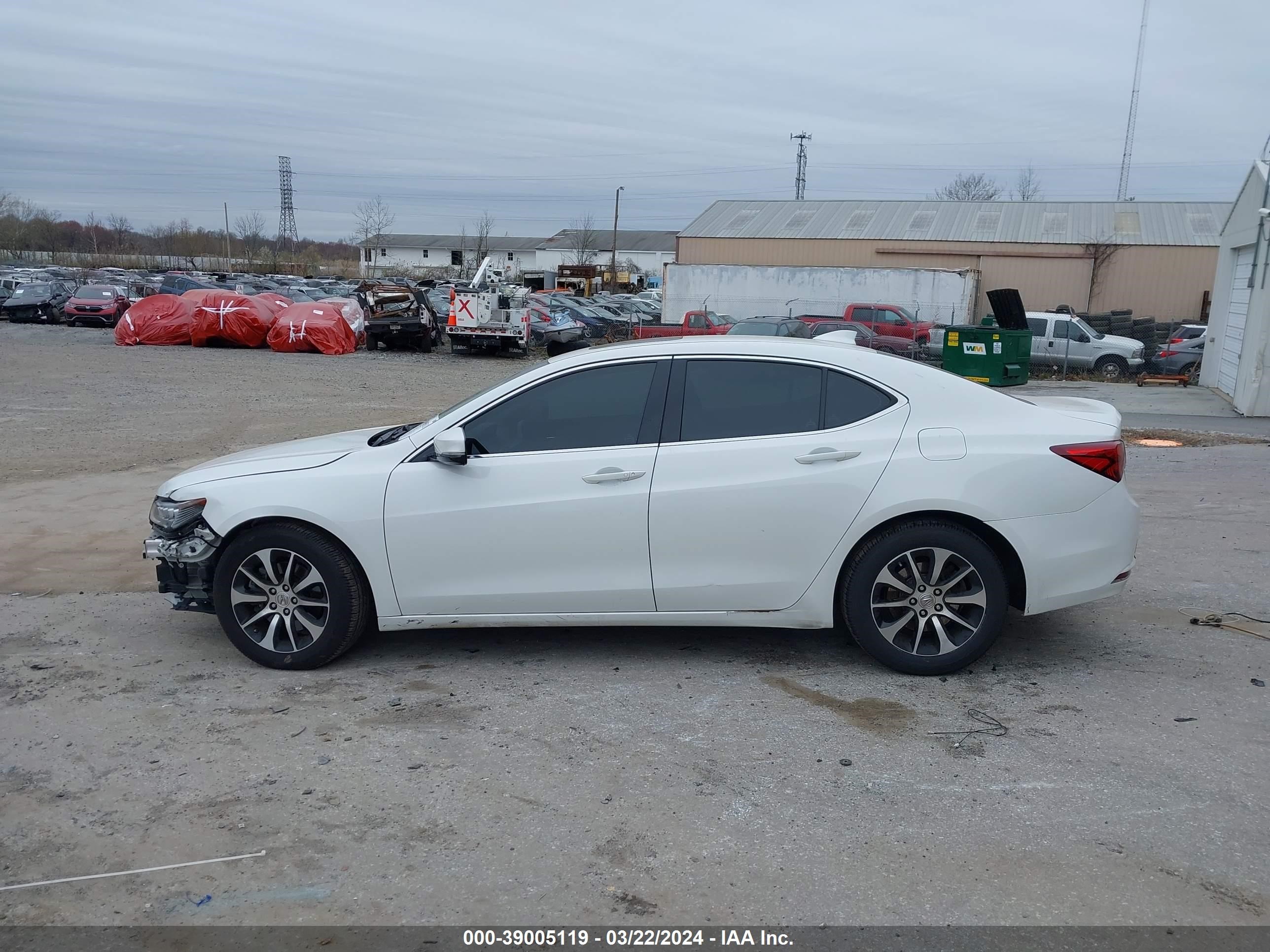 Photo 13 VIN: 19UUB1F3XFA011983 - ACURA TLX 