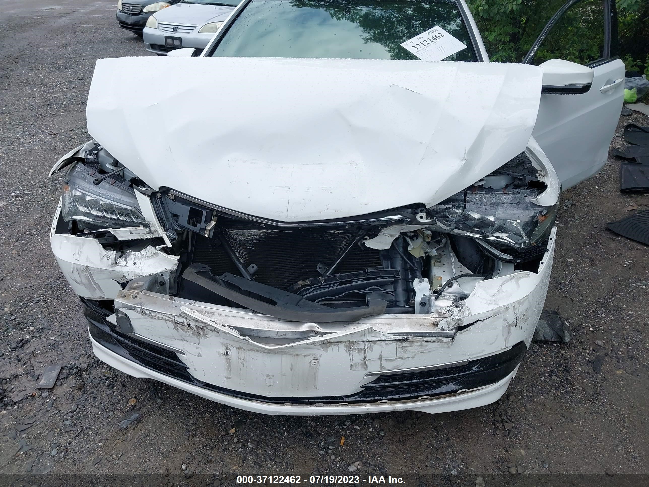 Photo 5 VIN: 19UUB1F3XFA028525 - ACURA TLX 