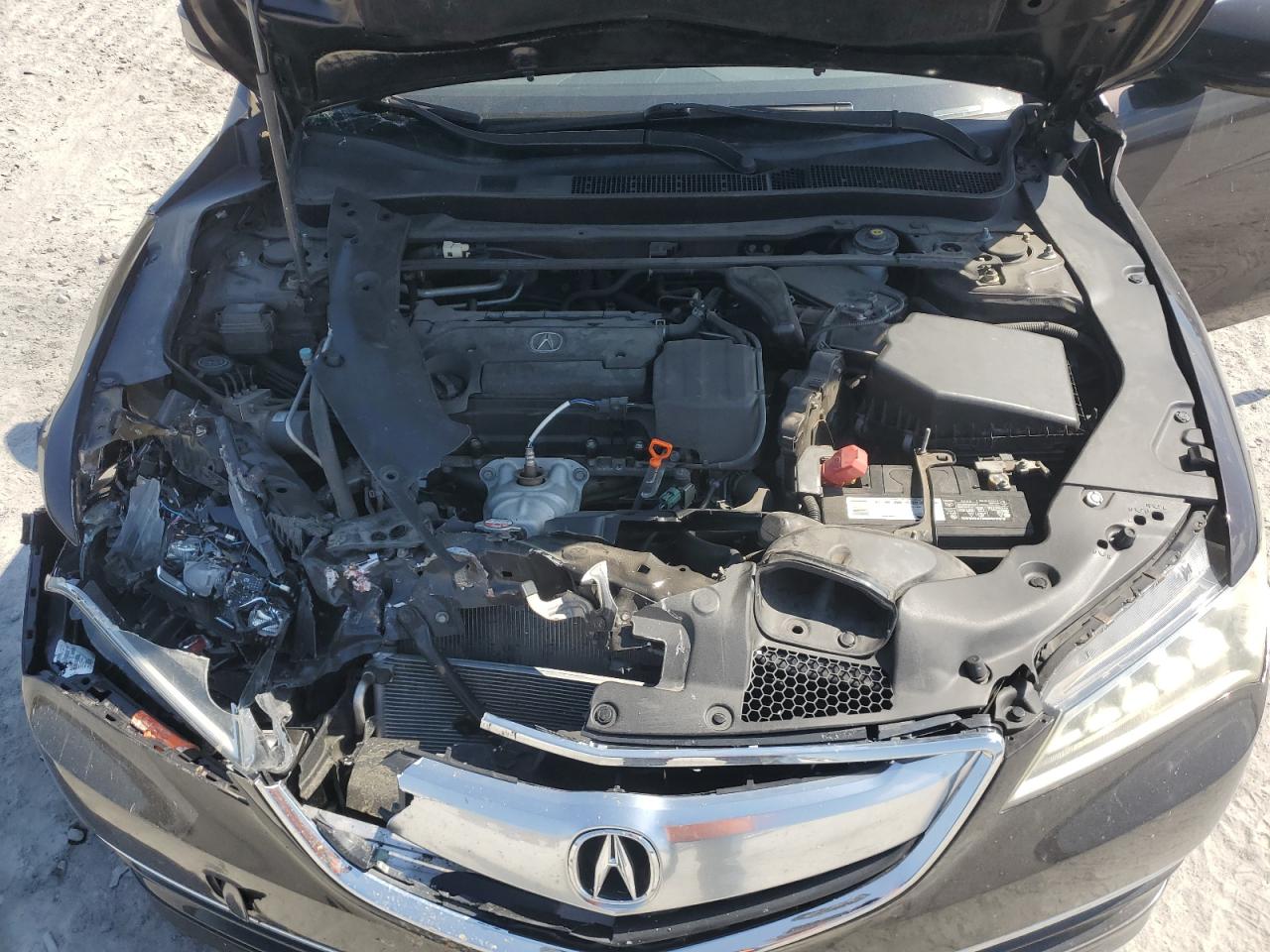 Photo 10 VIN: 19UUB1F3XGA001116 - ACURA TLX 