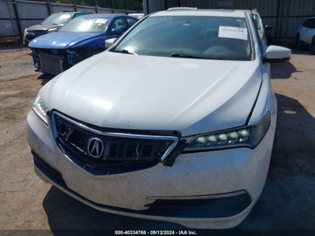 Photo 5 VIN: 19UUB1F3XHA004003 - ACURA TLX 