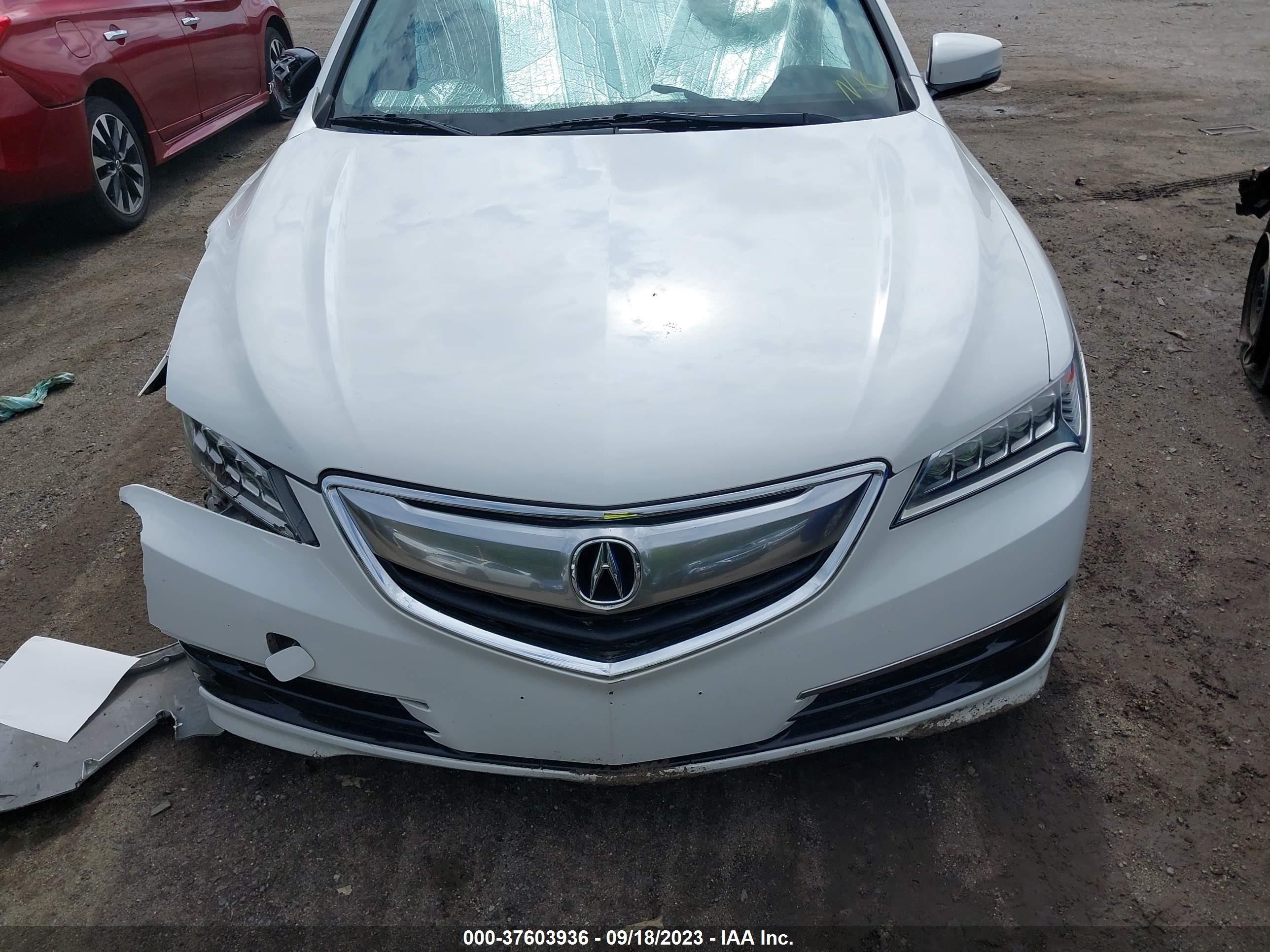 Photo 10 VIN: 19UUB1F3XHA009282 - ACURA TLX 