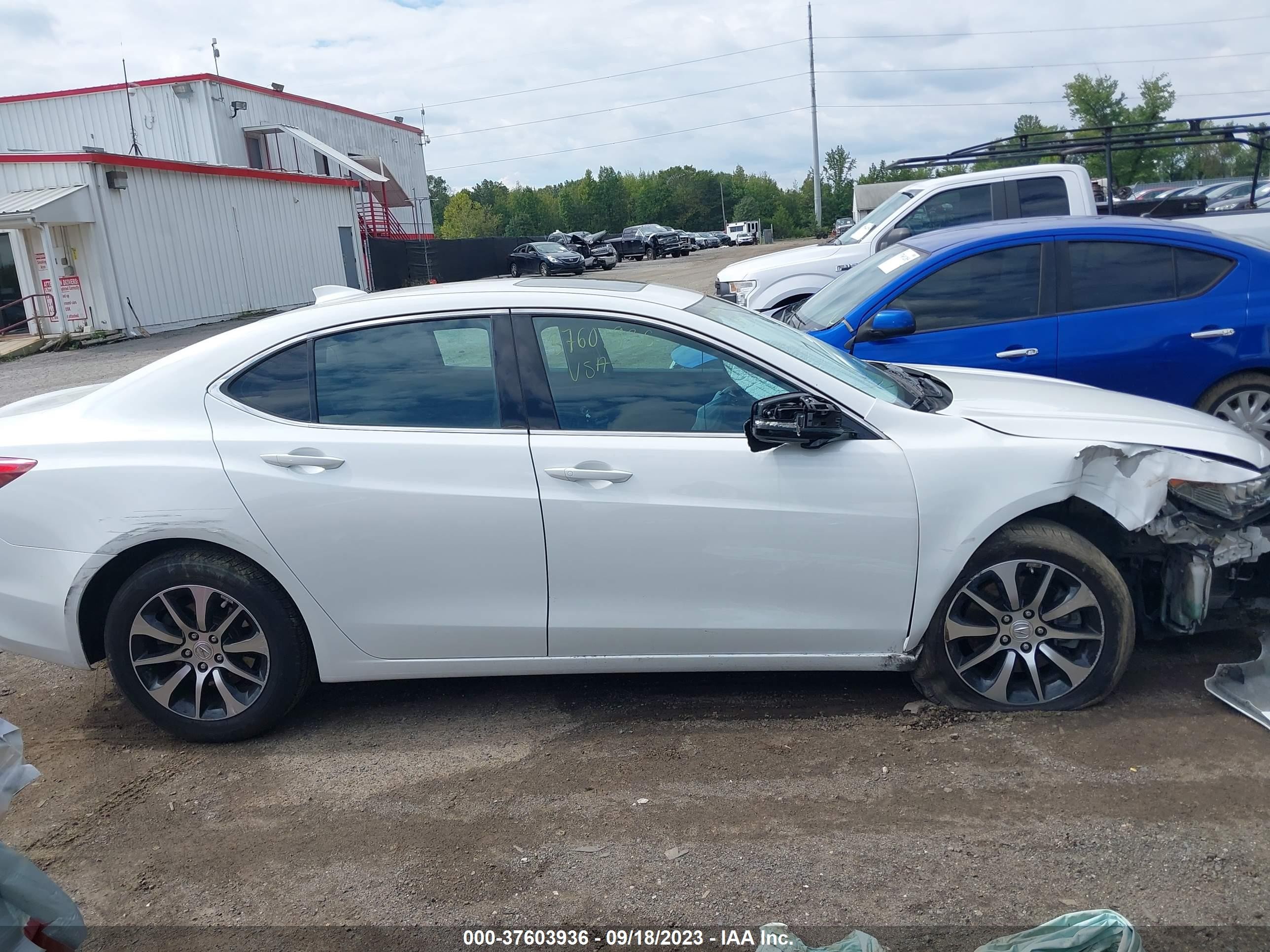 Photo 11 VIN: 19UUB1F3XHA009282 - ACURA TLX 