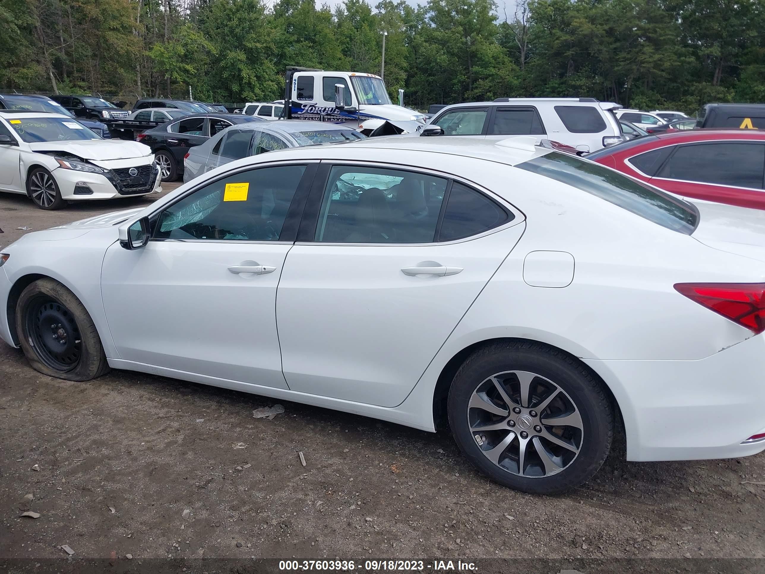 Photo 12 VIN: 19UUB1F3XHA009282 - ACURA TLX 