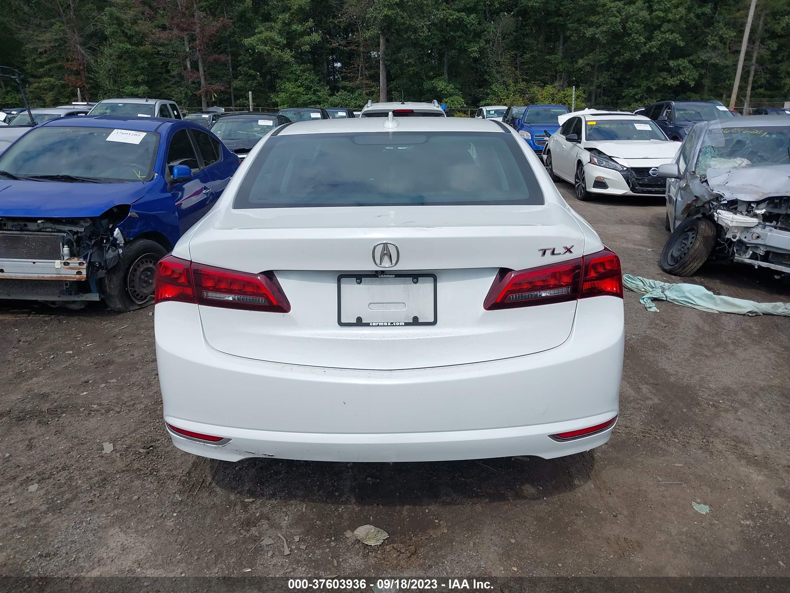 Photo 14 VIN: 19UUB1F3XHA009282 - ACURA TLX 