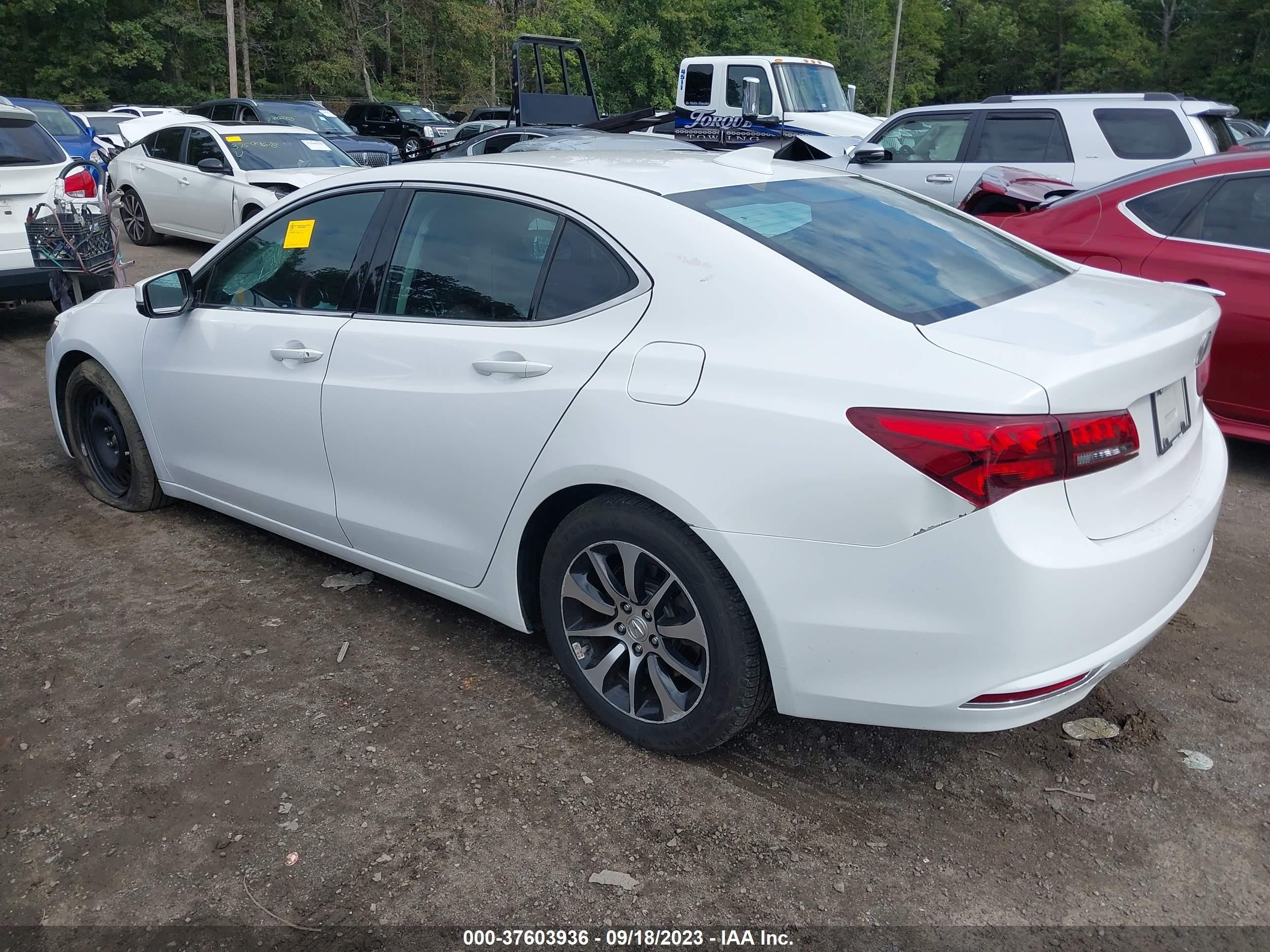 Photo 2 VIN: 19UUB1F3XHA009282 - ACURA TLX 