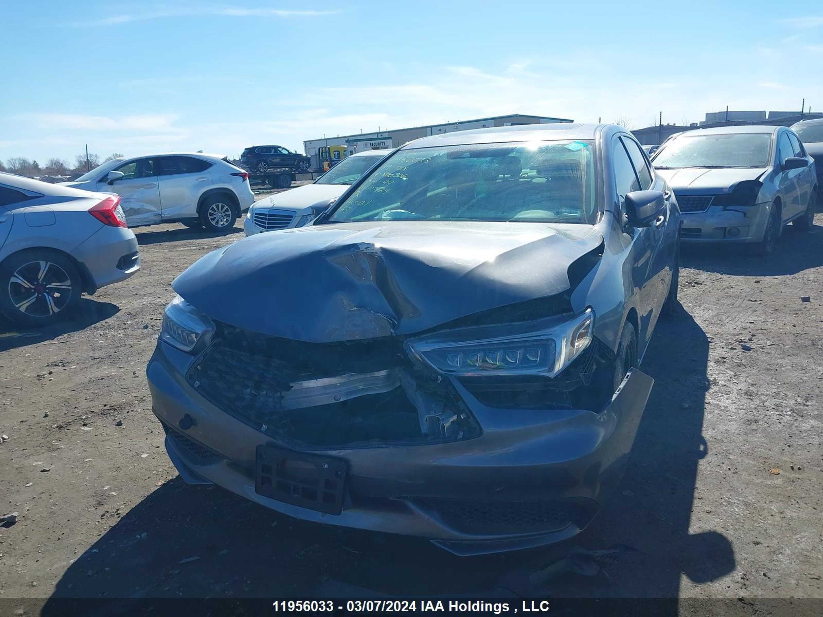 Photo 5 VIN: 19UUB1F3XKA800306 - ACURA TLX 