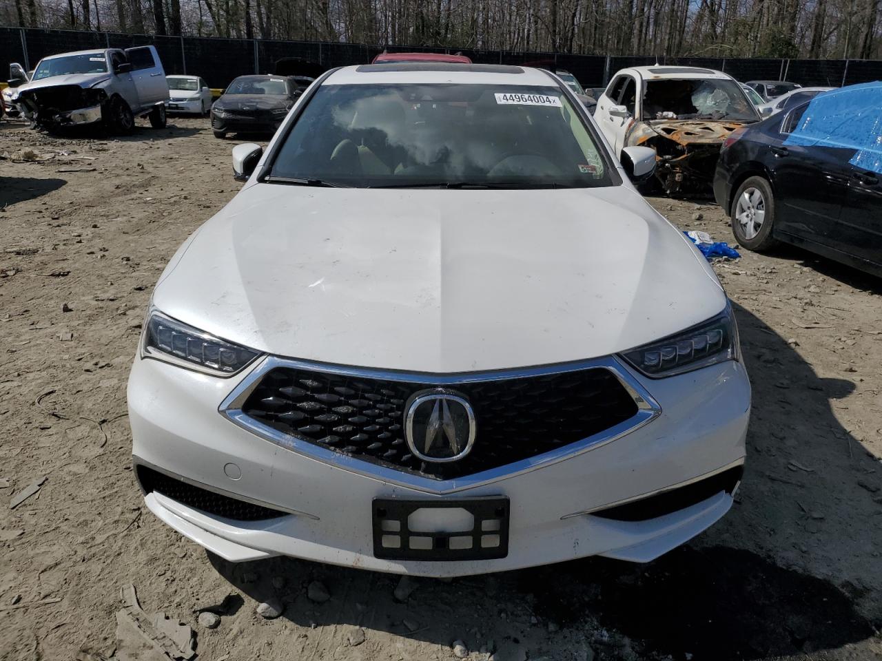 Photo 4 VIN: 19UUB1F53KA008564 - ACURA TLX 