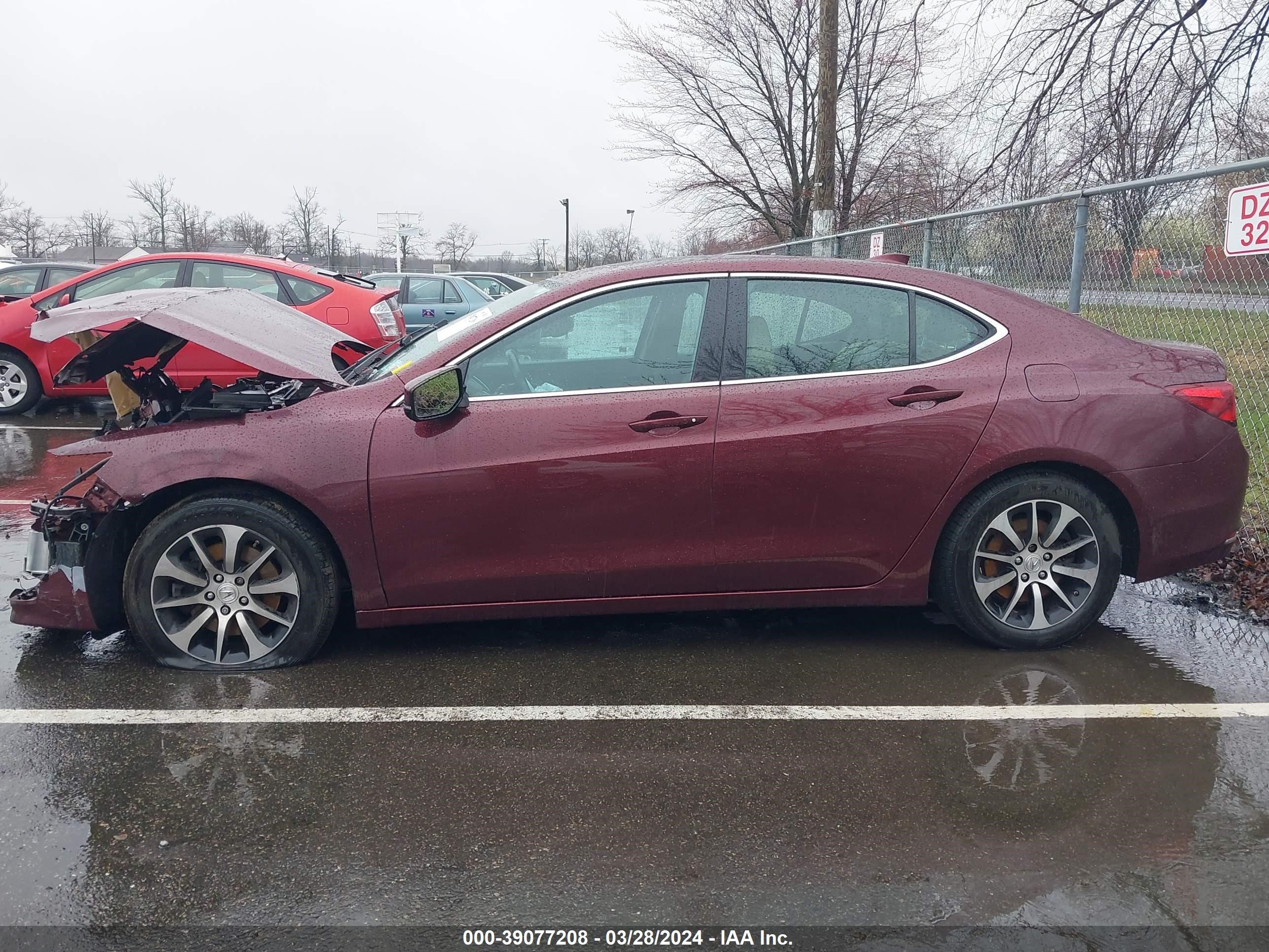 Photo 13 VIN: 19UUB1F54FA001662 - ACURA TLX 