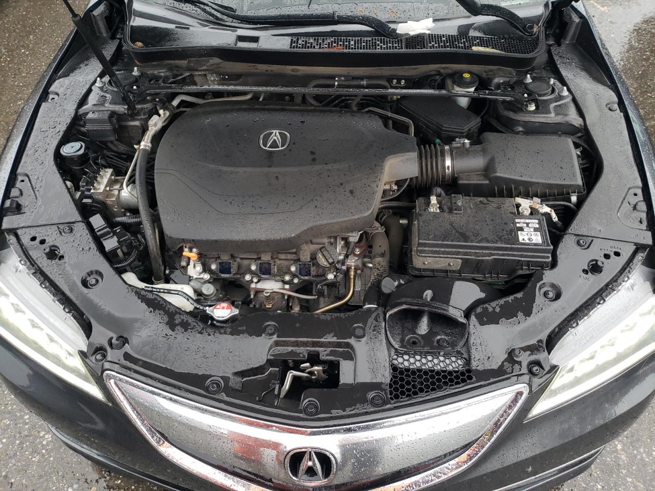 Photo 10 VIN: 19UUB2F31GA004489 - ACURA TLX 