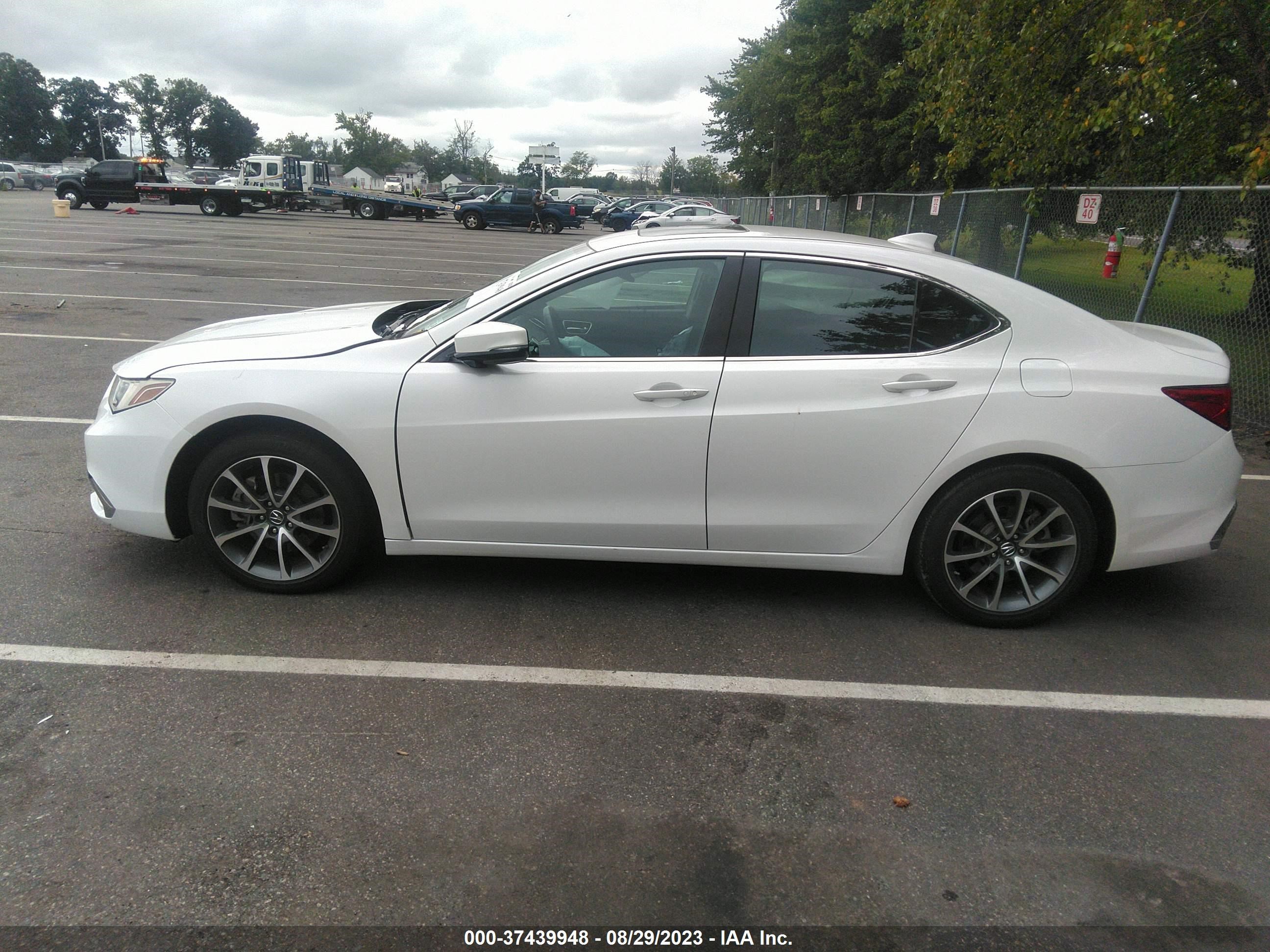 Photo 13 VIN: 19UUB2F32KA001478 - ACURA TLX 