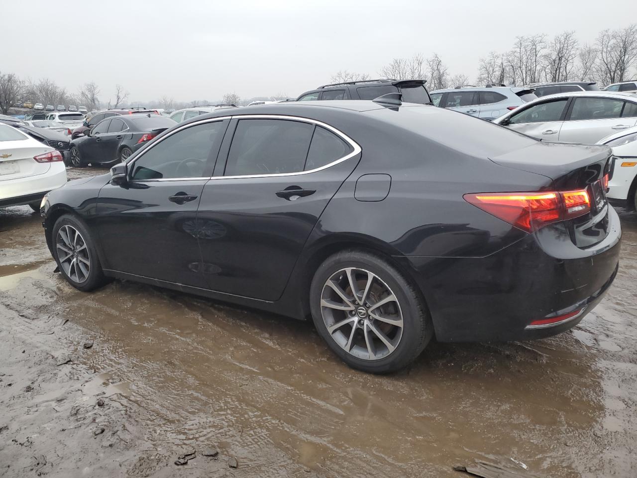 Photo 1 VIN: 19UUB2F33FA002144 - ACURA TLX 