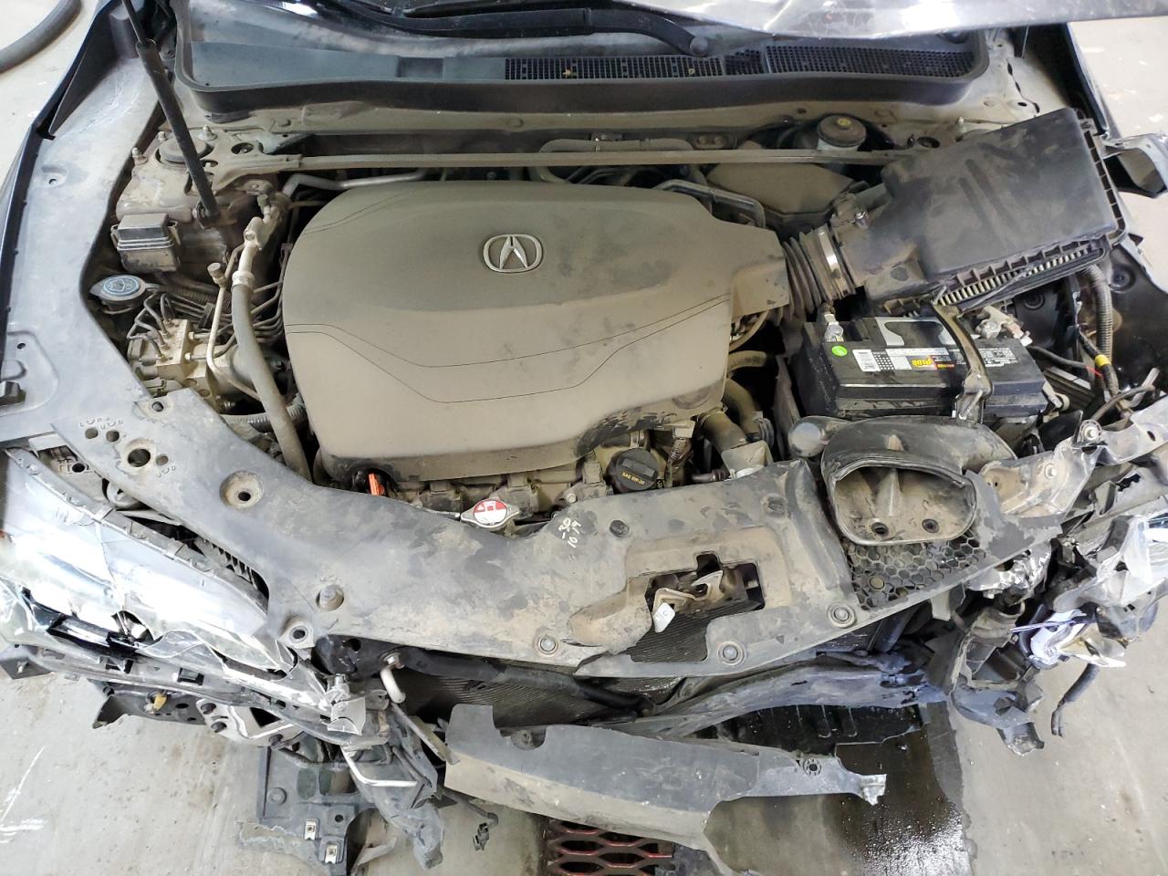 Photo 10 VIN: 19UUB2F35FA006020 - ACURA TLX 