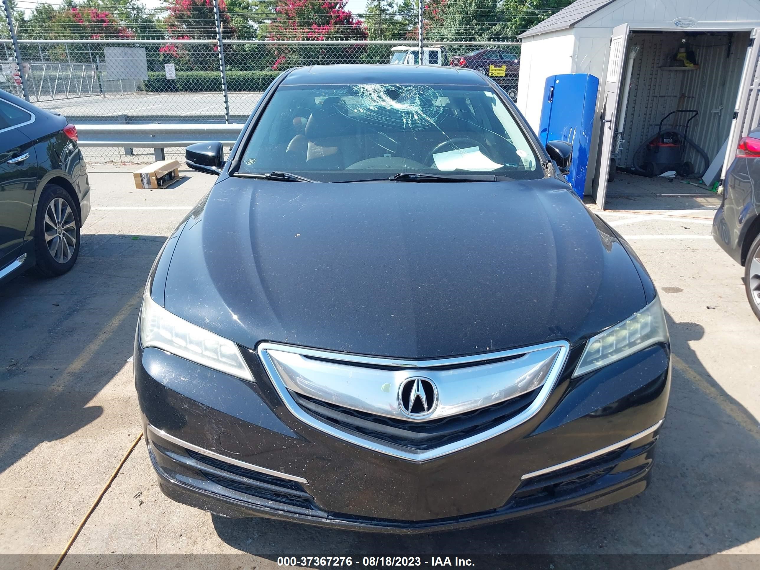 Photo 12 VIN: 19UUB2F36FA023148 - ACURA TLX 