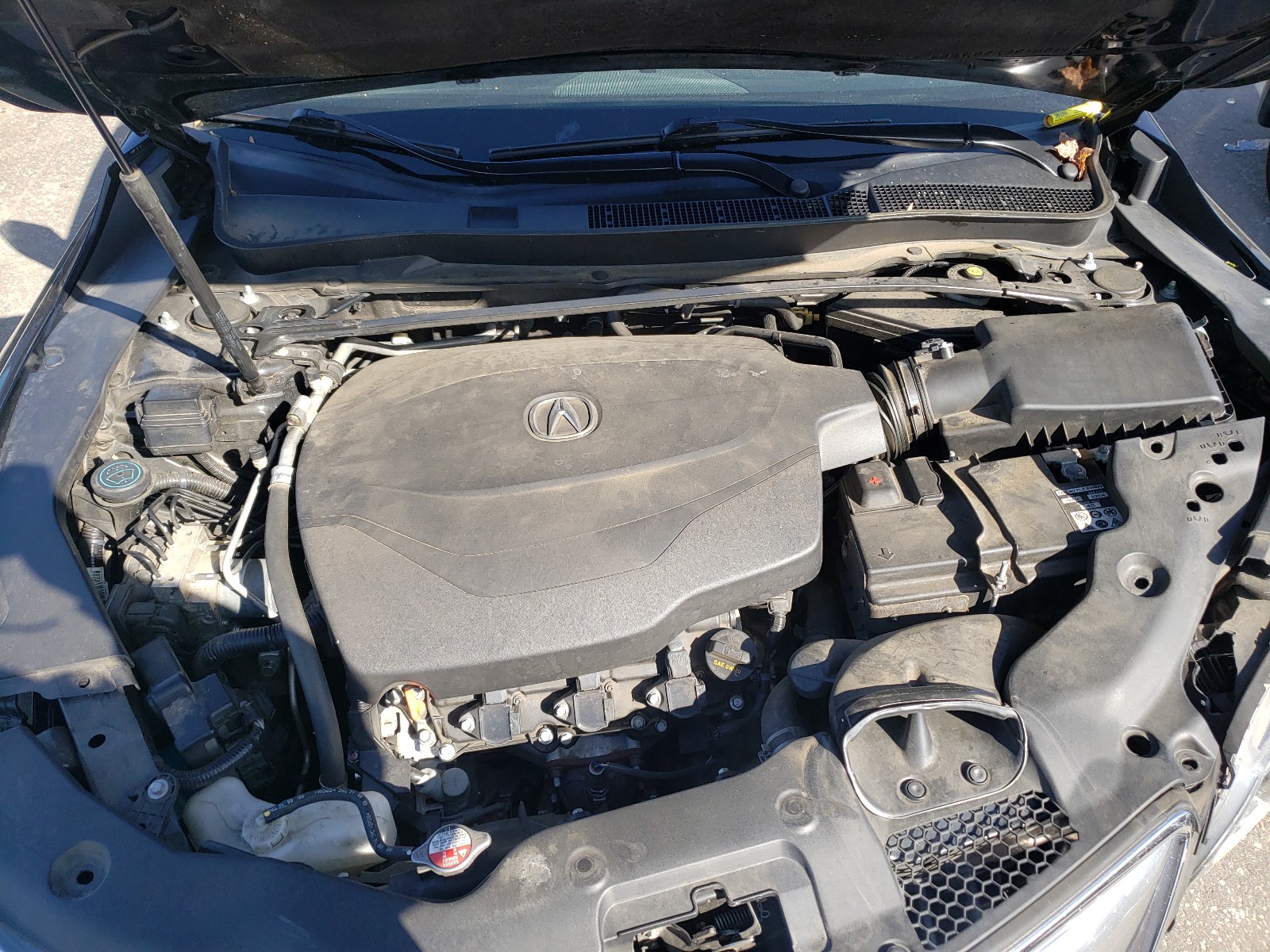 Photo 6 VIN: 19UUB2F51FA011684 - ACURA TLX TECH 