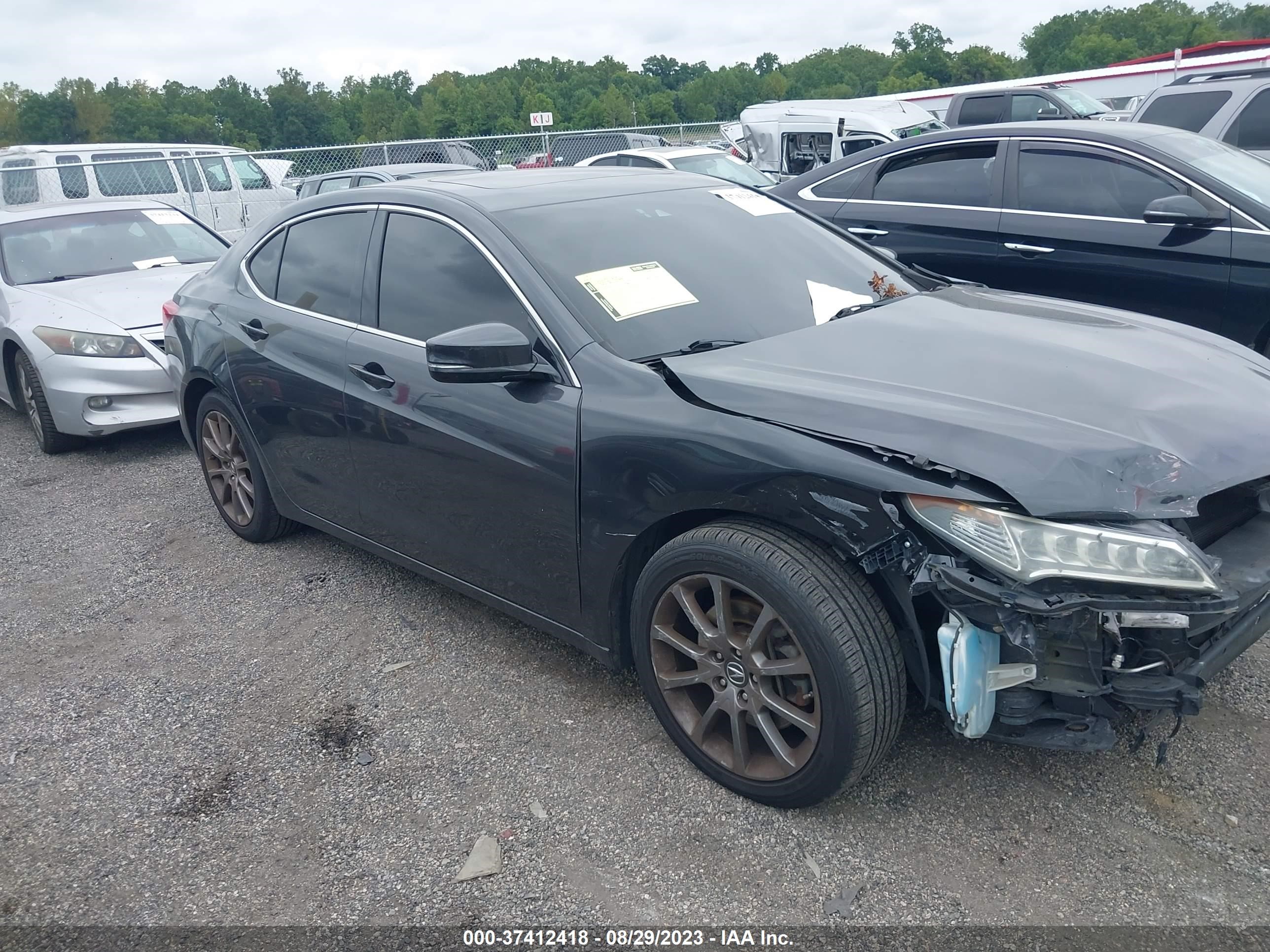 Photo 12 VIN: 19UUB2F53FA011461 - ACURA TLX 