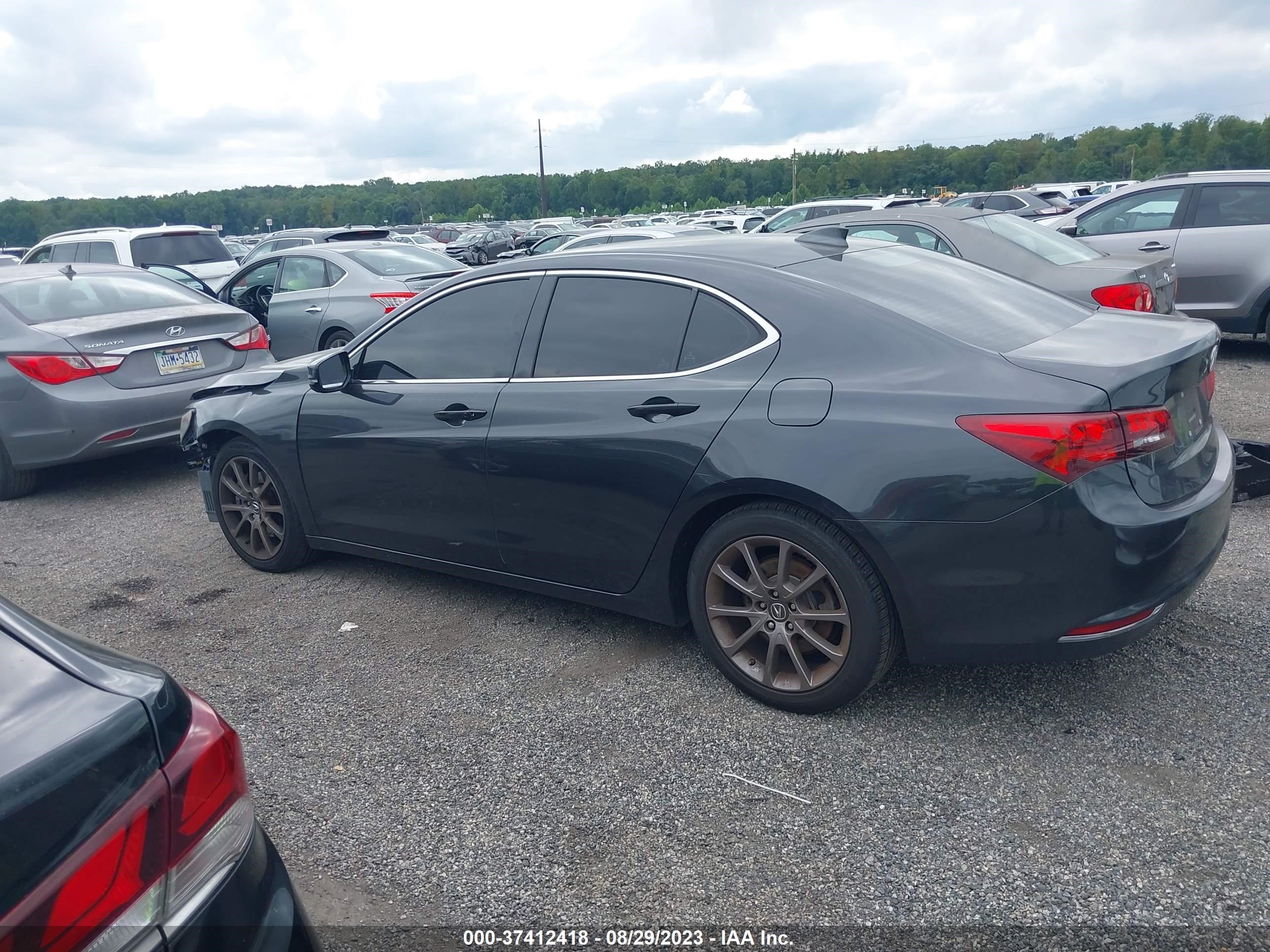 Photo 13 VIN: 19UUB2F53FA011461 - ACURA TLX 