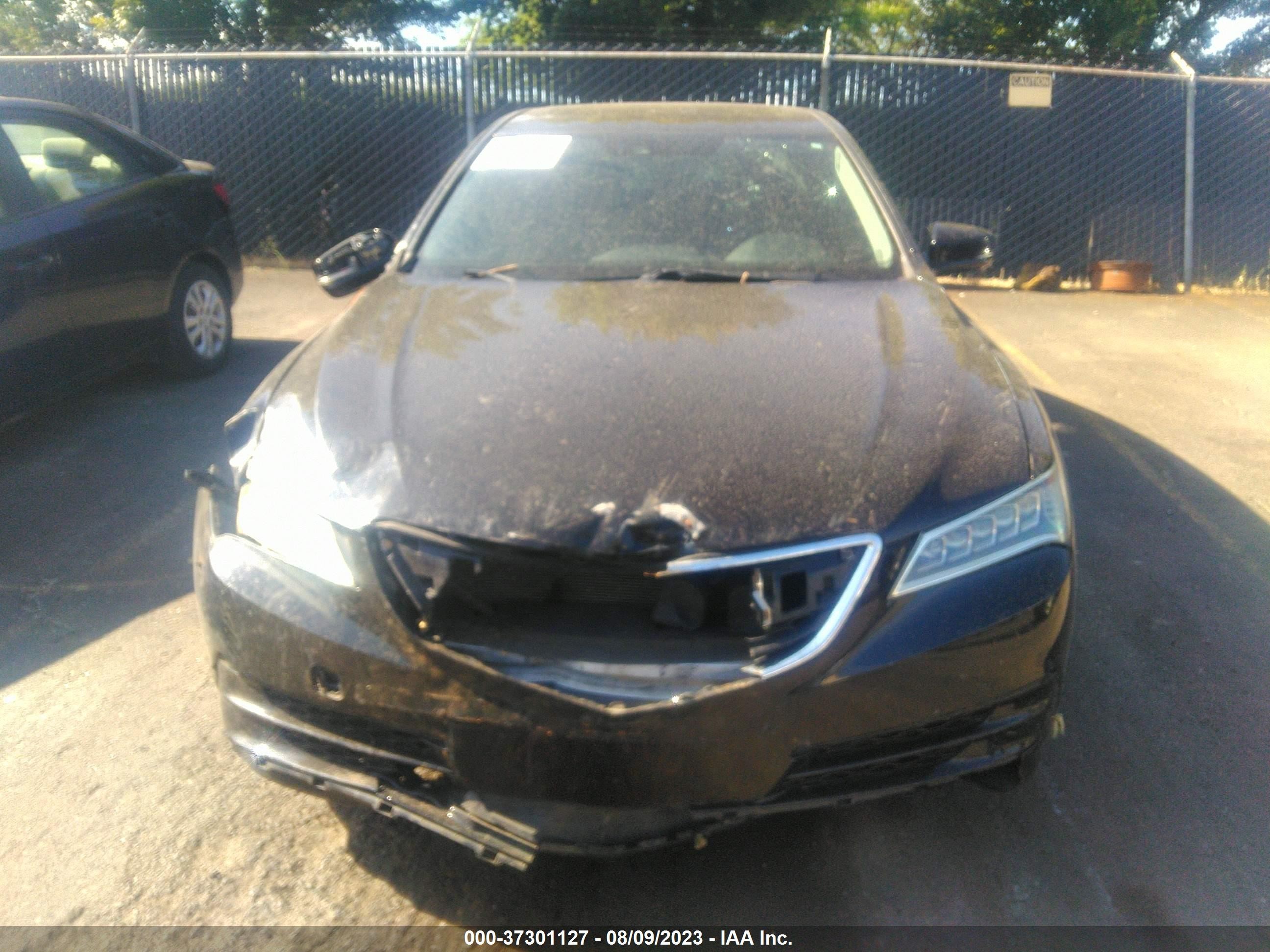 Photo 11 VIN: 19UUB2F53FA012657 - ACURA TLX 