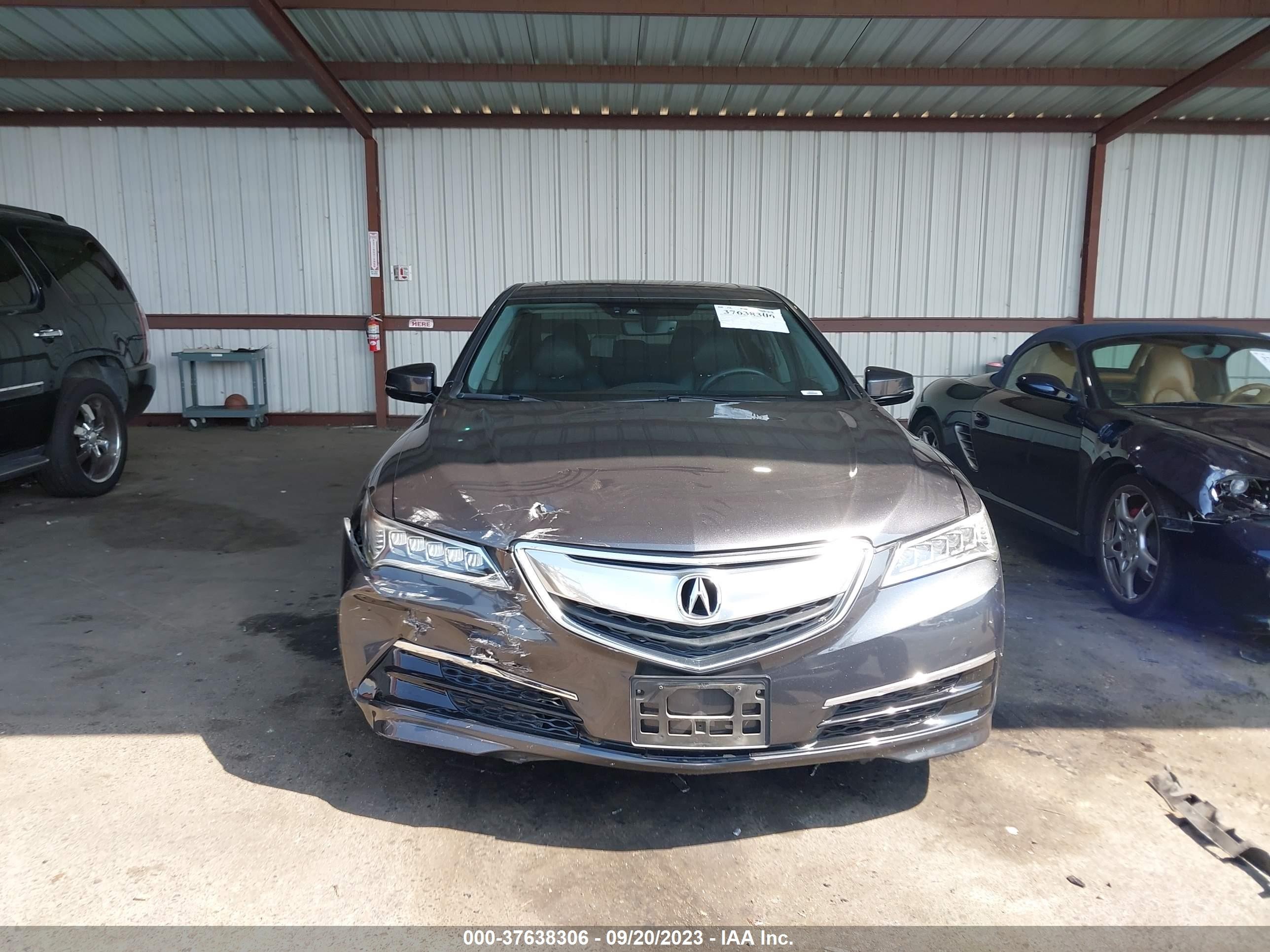 Photo 11 VIN: 19UUB2F53GA012191 - ACURA TLX 