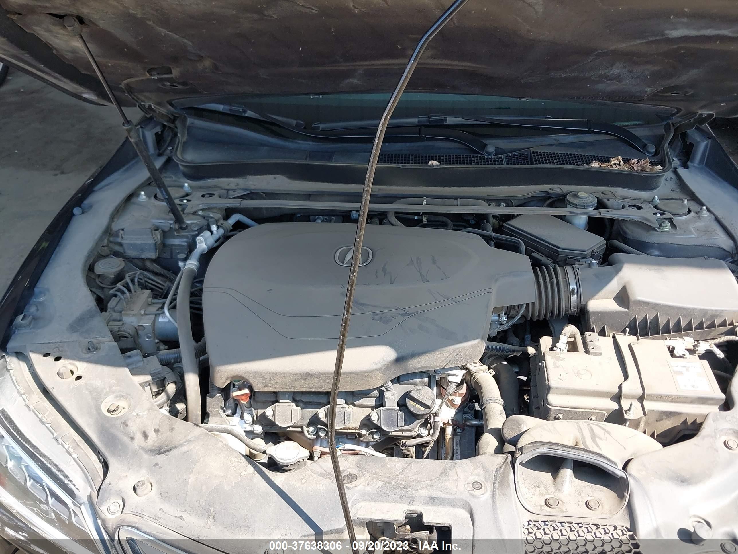 Photo 9 VIN: 19UUB2F53GA012191 - ACURA TLX 