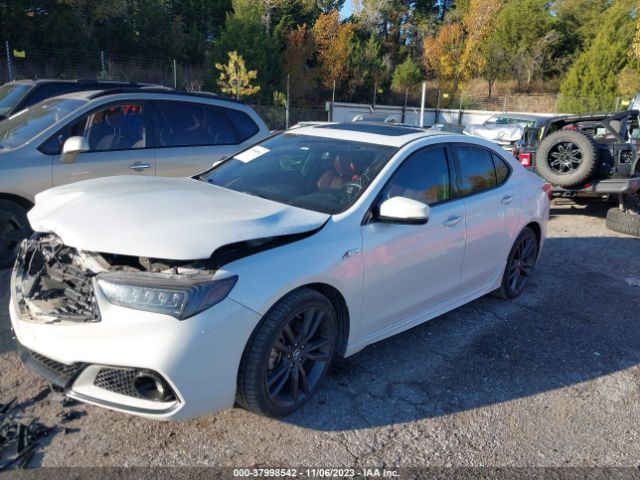 Photo 1 VIN: 19UUB2F69KA000516 - ACURA TLX 