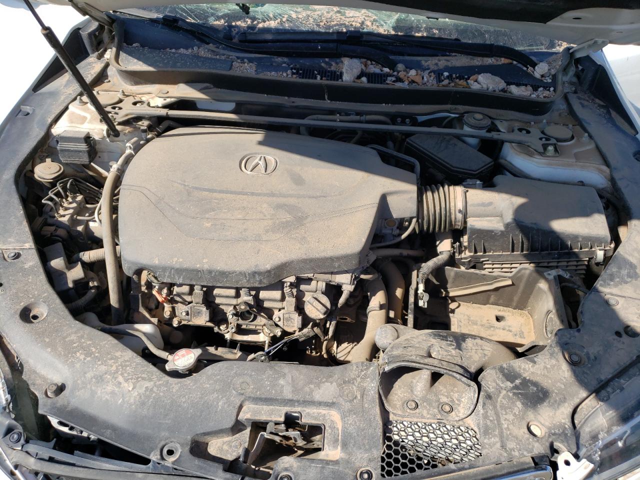 Photo 10 VIN: 19UUB2F75FA006845 - ACURA TLX 