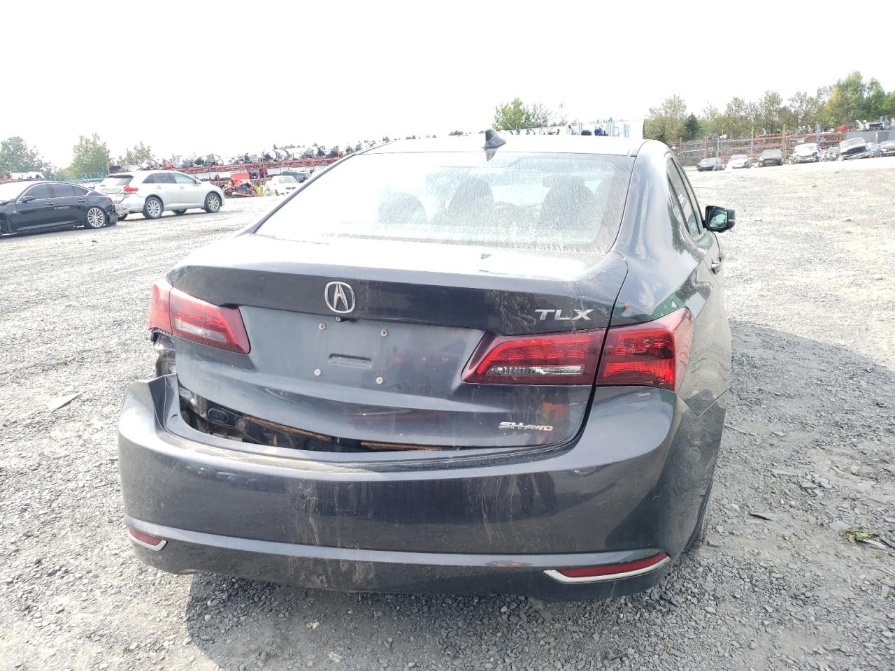 Photo 5 VIN: 19UUB3F36FA802975 - ACURA TLX 