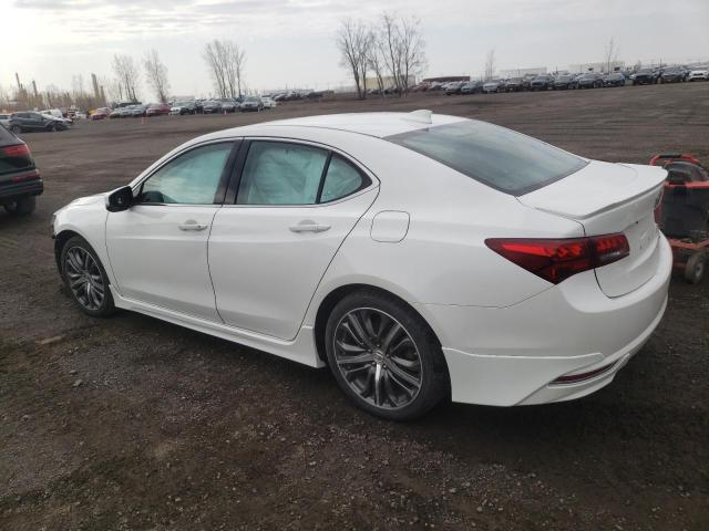 Photo 1 VIN: 19UUB3F51HA800166 - ACURA TLX 