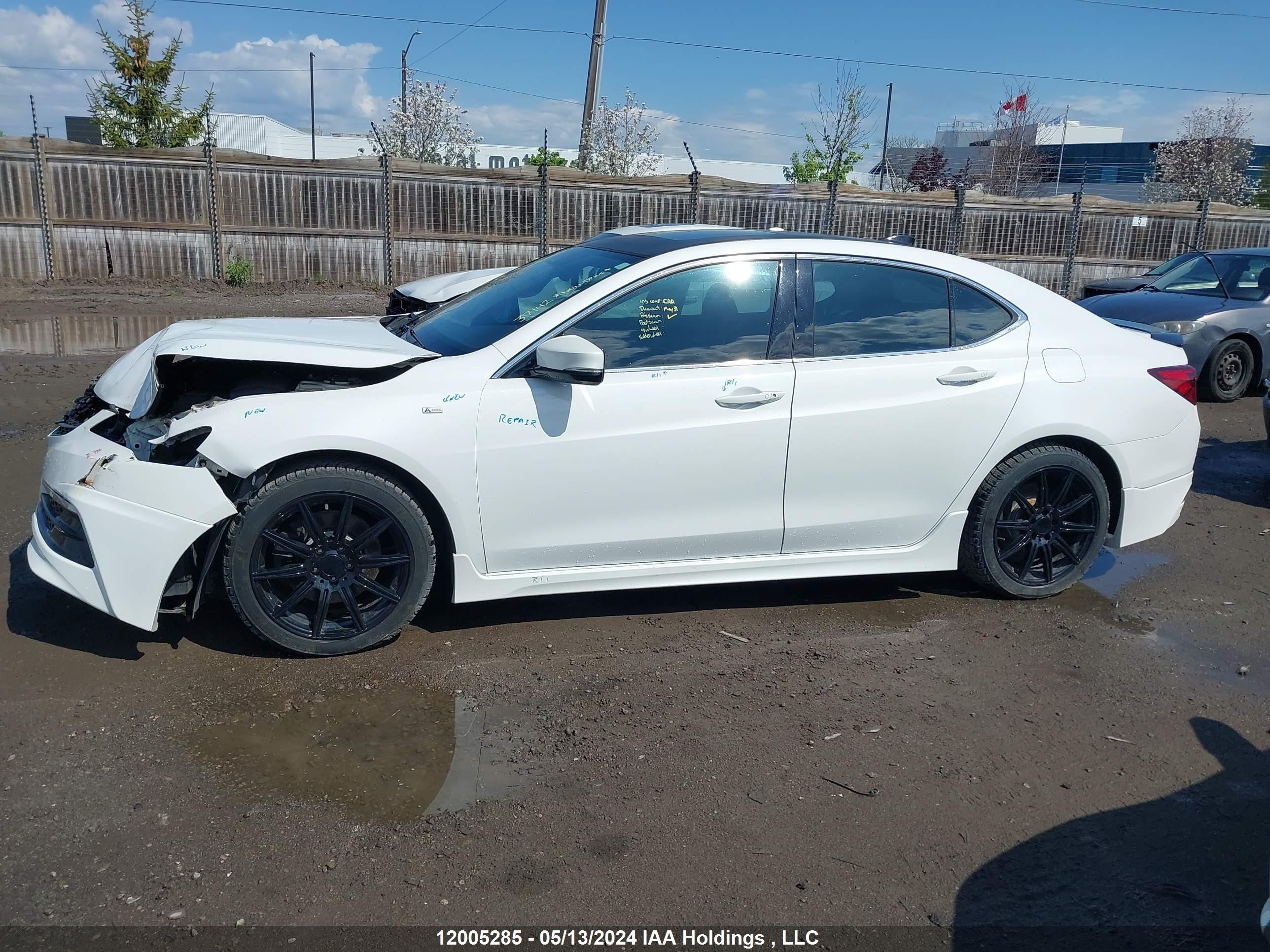 Photo 13 VIN: 19UUB3F52GA800384 - ACURA TLX 