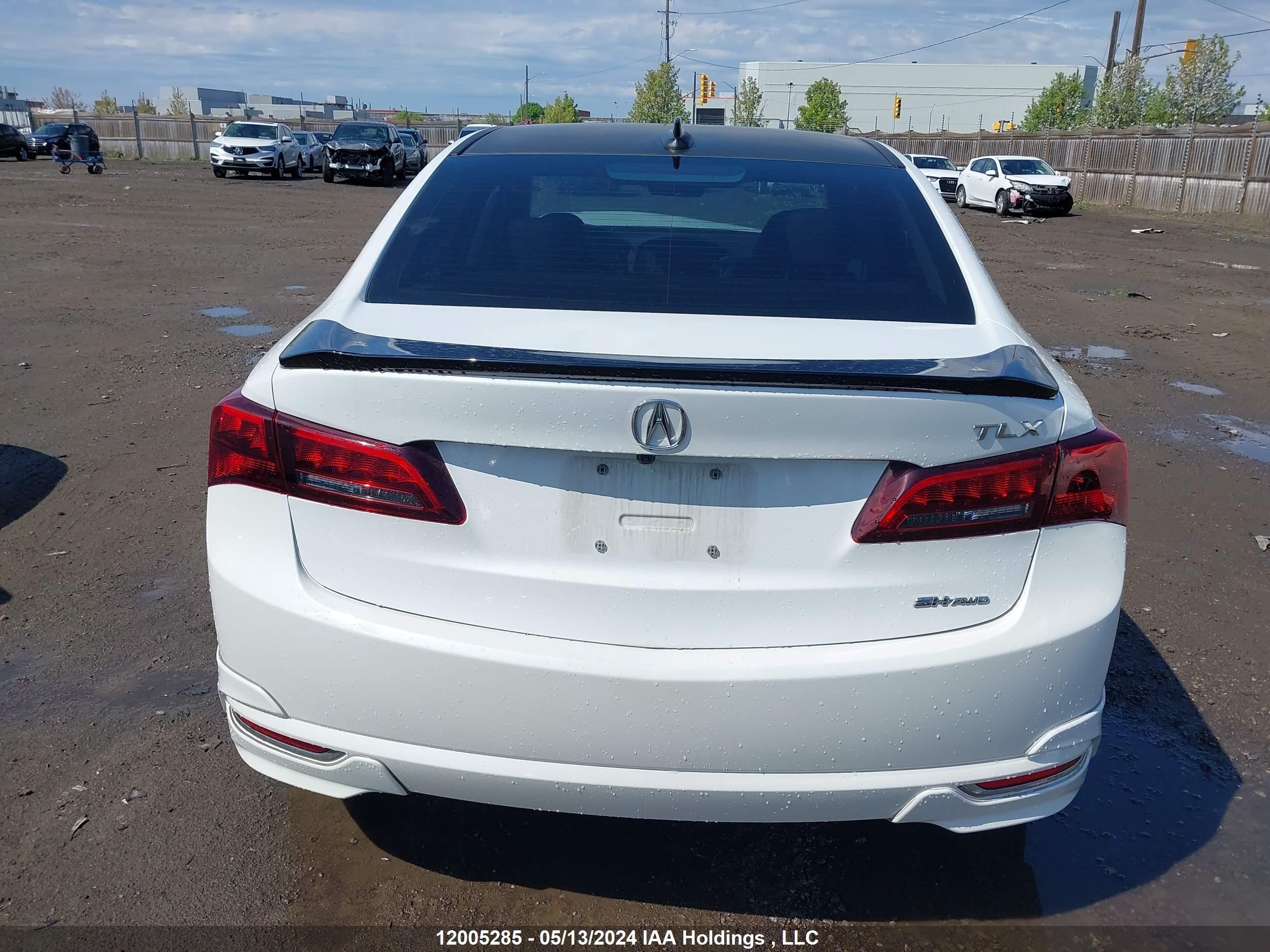 Photo 15 VIN: 19UUB3F52GA800384 - ACURA TLX 