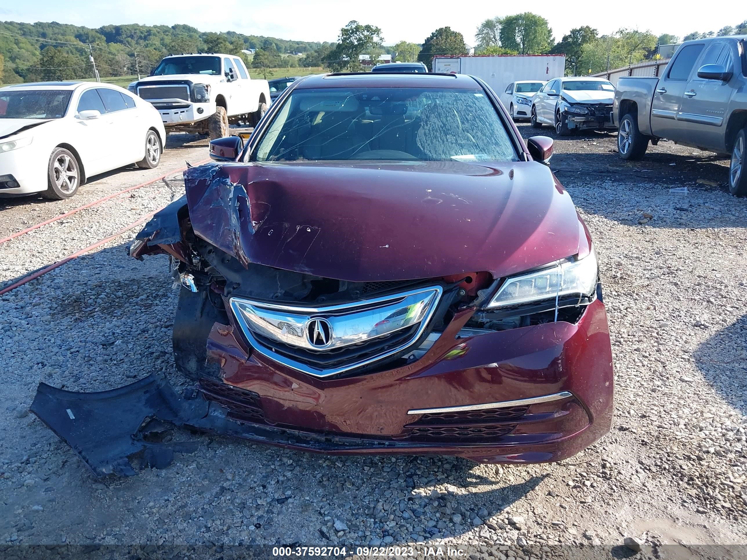 Photo 12 VIN: 19UUB3F54FA000703 - ACURA TLX 