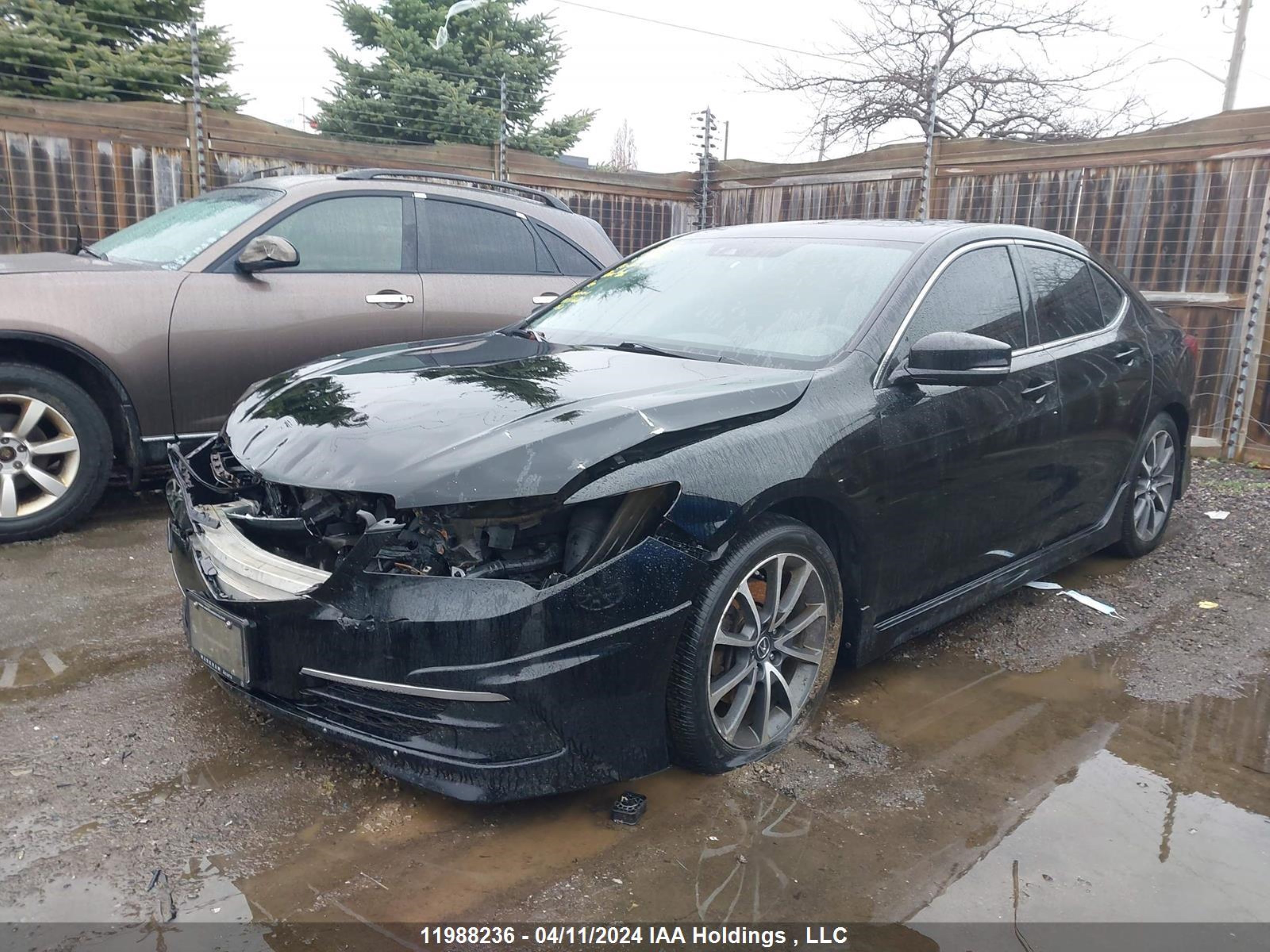 Photo 1 VIN: 19UUB3F54FA801146 - ACURA TLX 