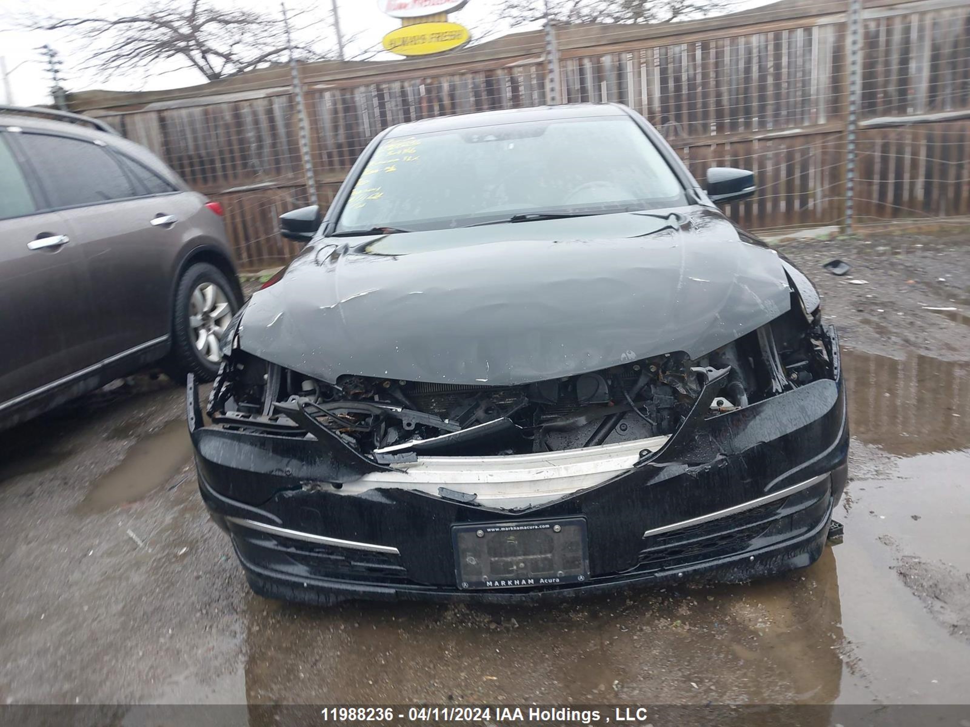 Photo 11 VIN: 19UUB3F54FA801146 - ACURA TLX 