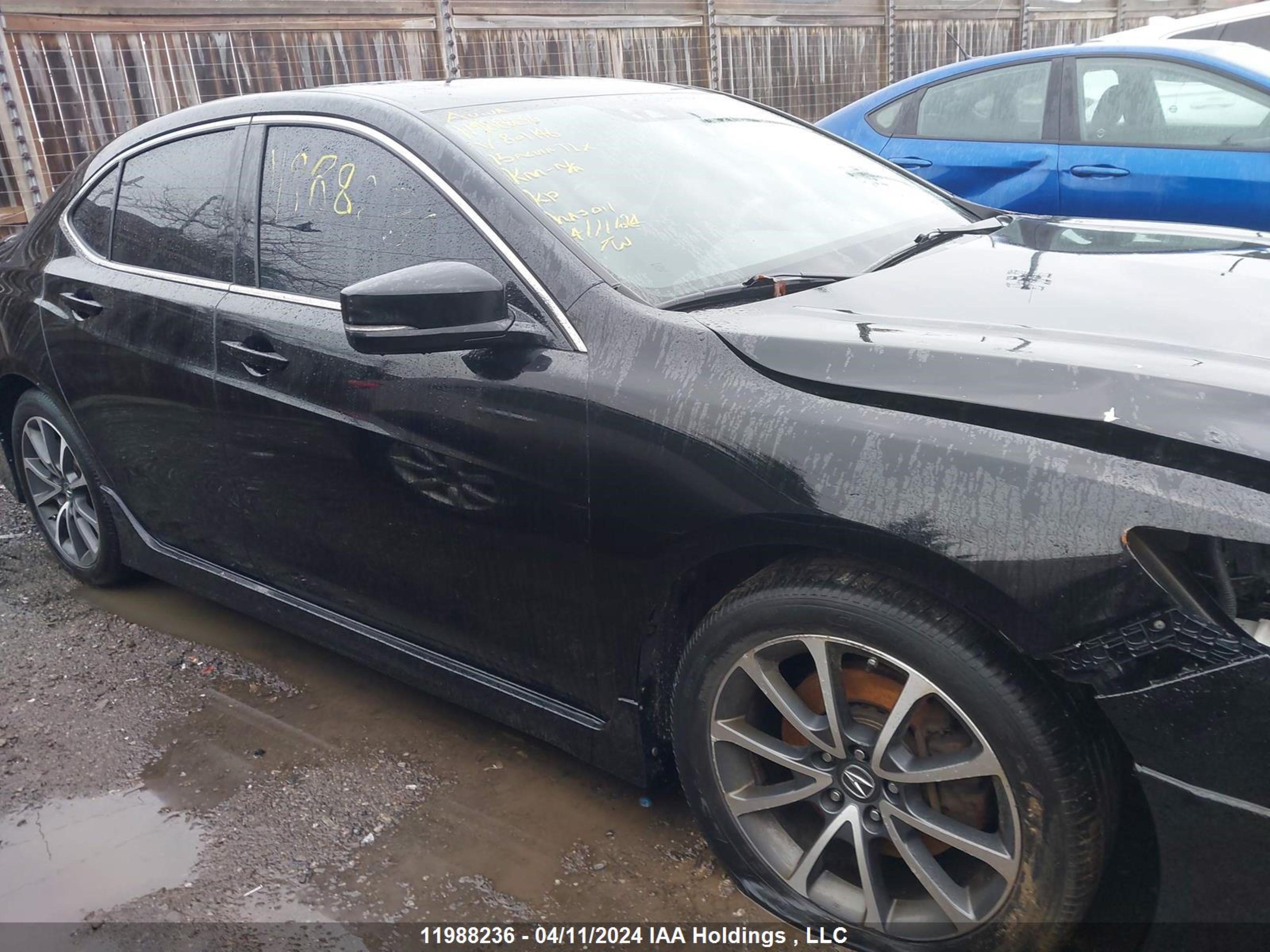 Photo 12 VIN: 19UUB3F54FA801146 - ACURA TLX 