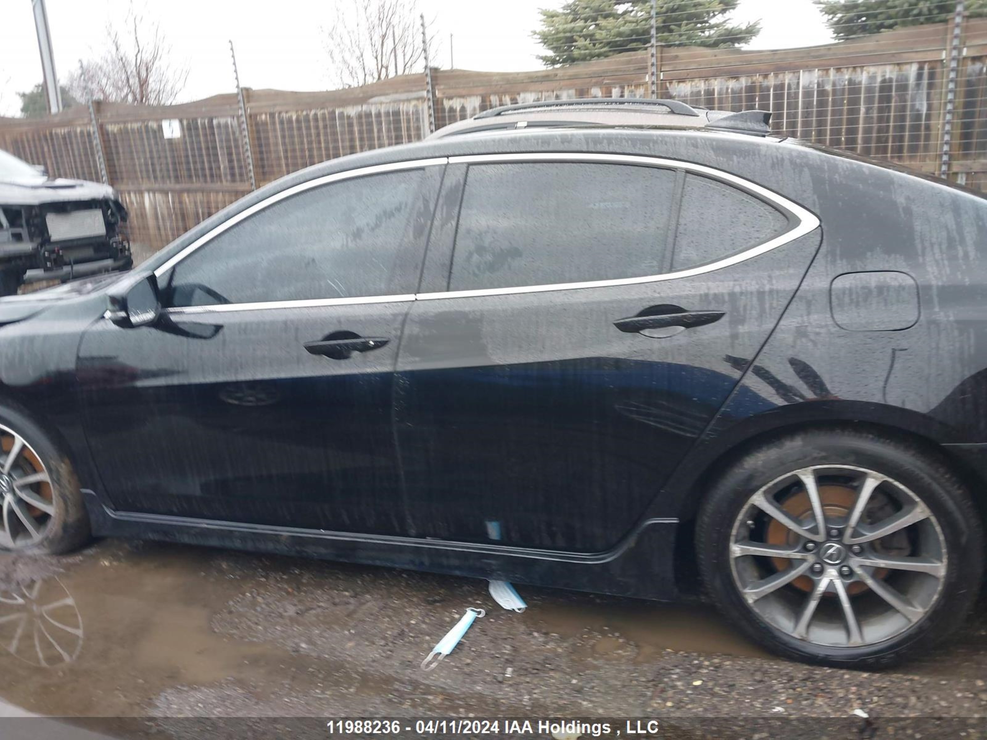 Photo 13 VIN: 19UUB3F54FA801146 - ACURA TLX 