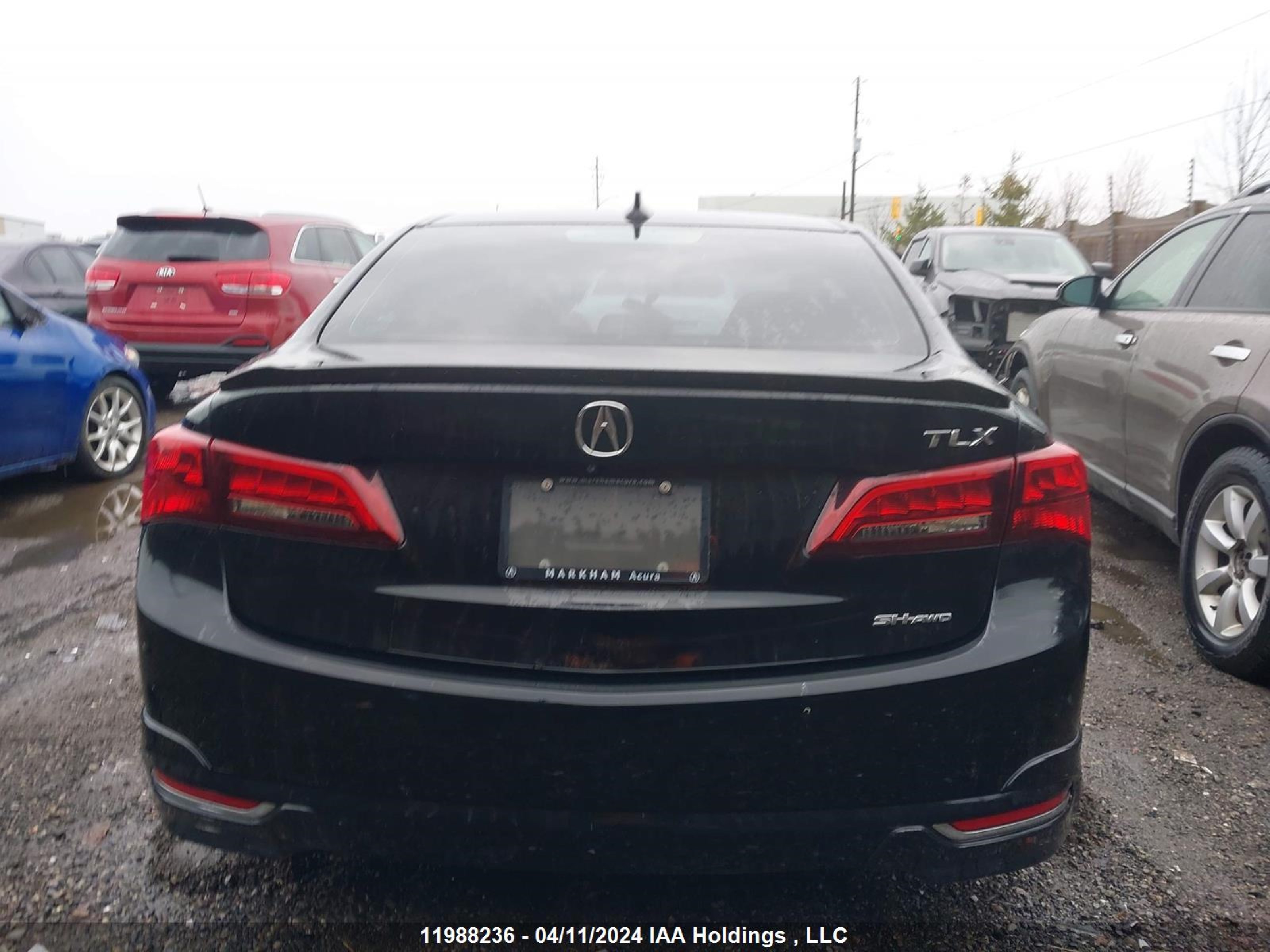 Photo 15 VIN: 19UUB3F54FA801146 - ACURA TLX 