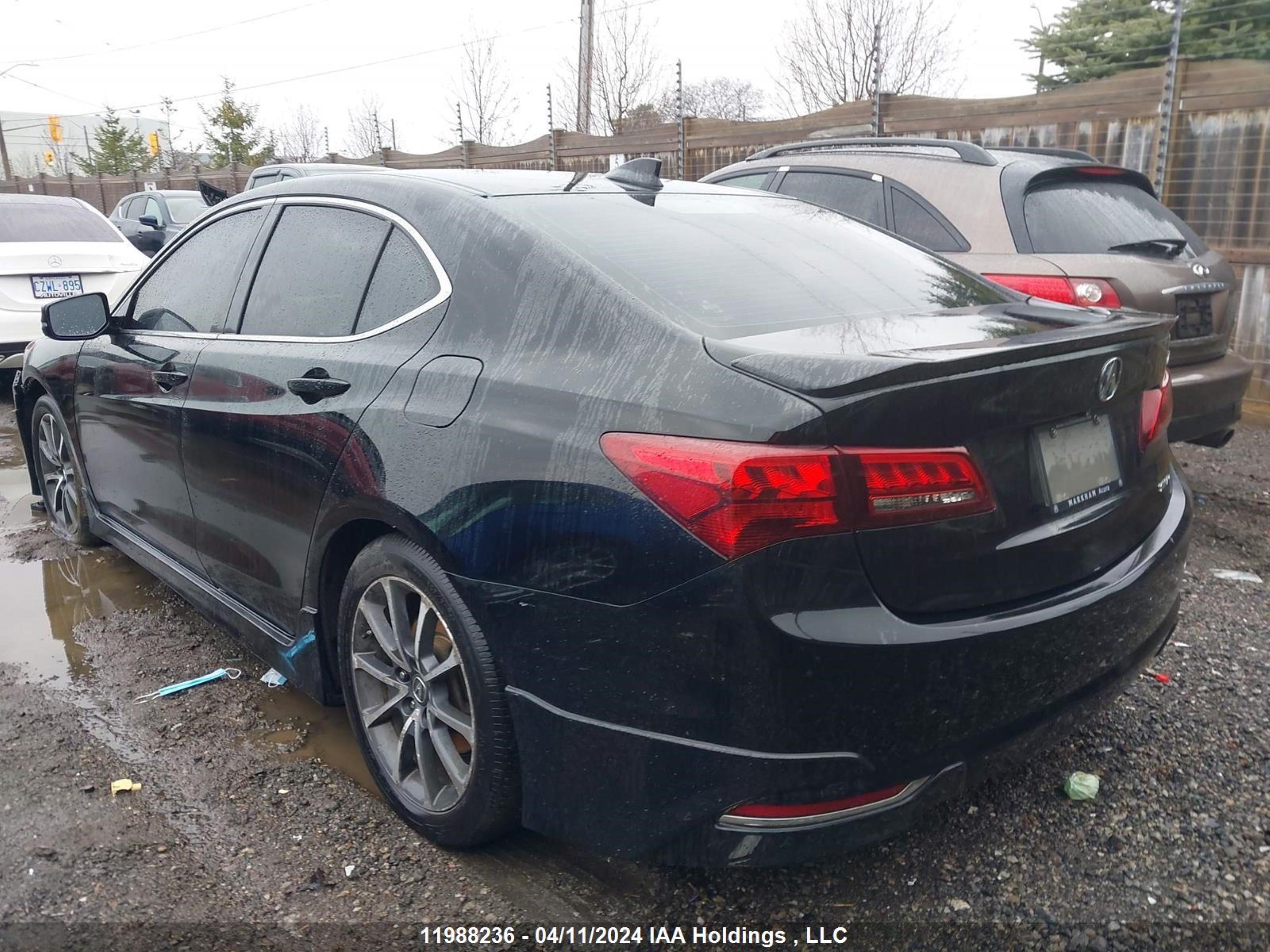 Photo 2 VIN: 19UUB3F54FA801146 - ACURA TLX 