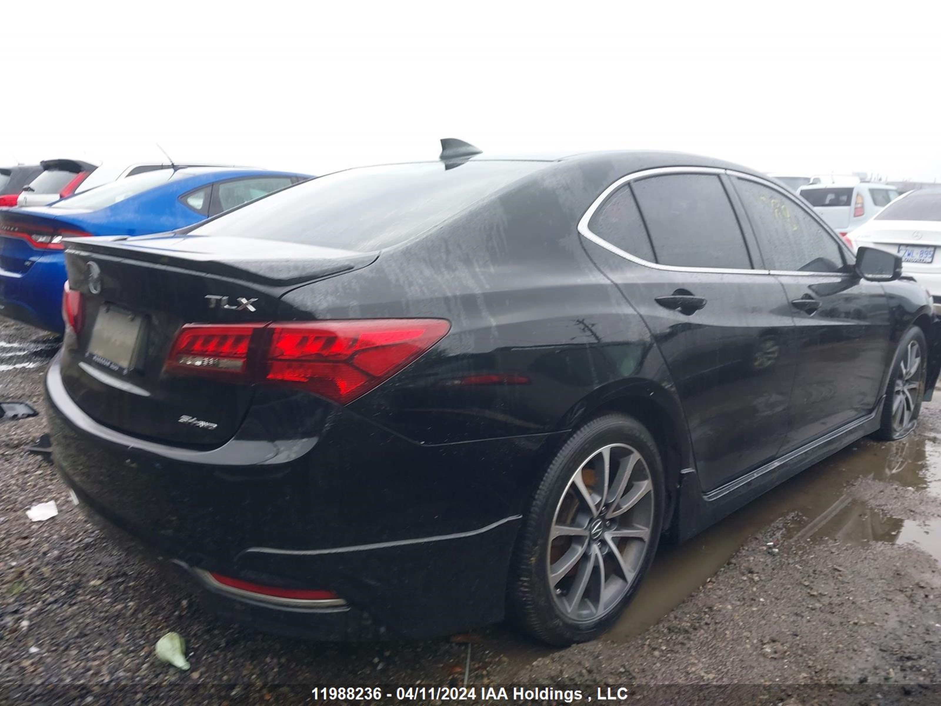 Photo 3 VIN: 19UUB3F54FA801146 - ACURA TLX 