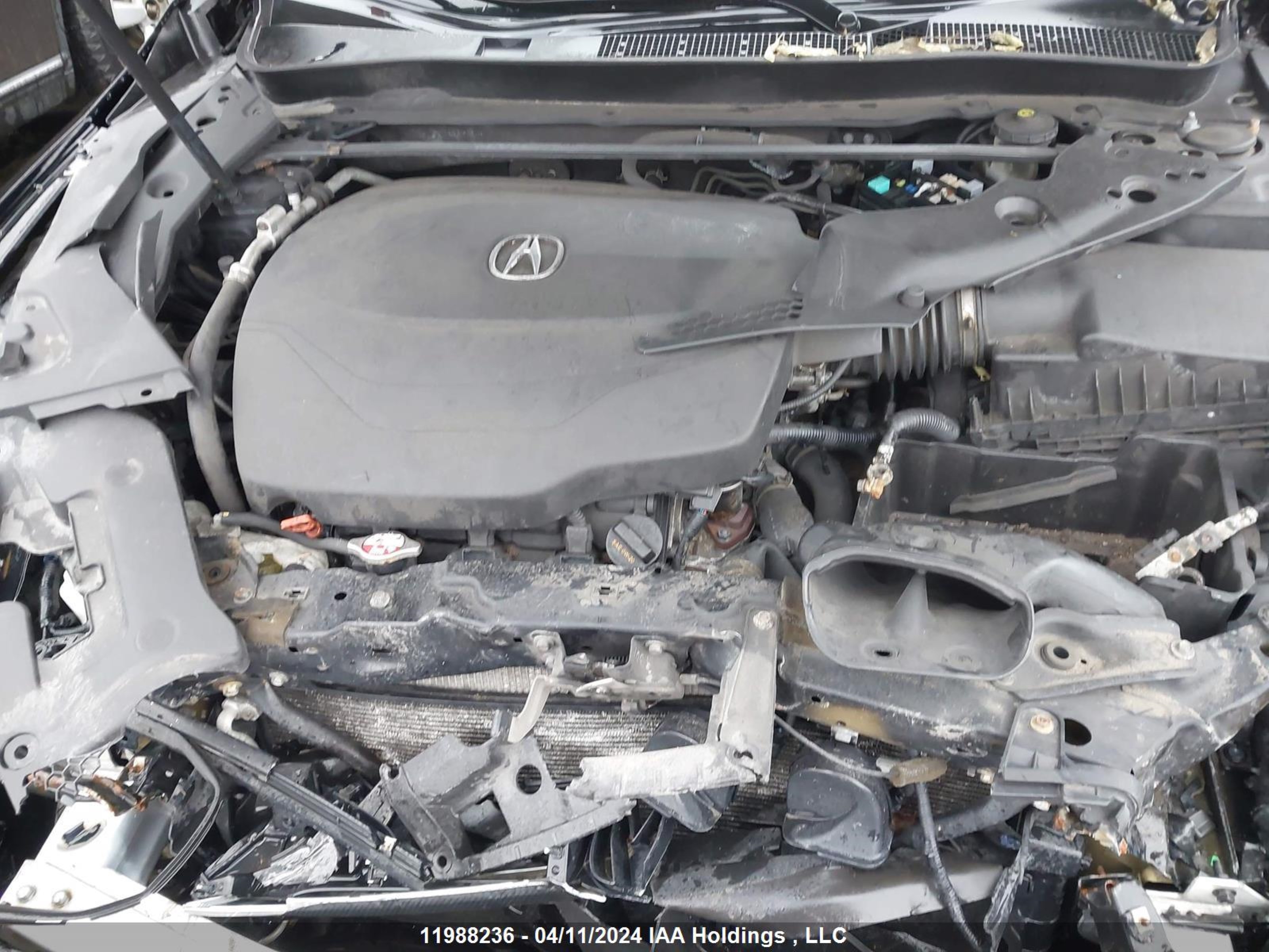 Photo 9 VIN: 19UUB3F54FA801146 - ACURA TLX 