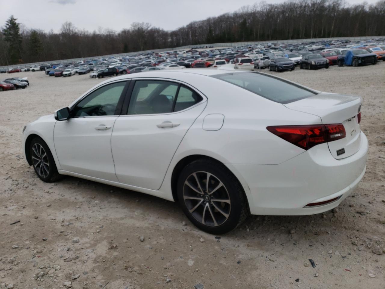 Photo 1 VIN: 19UUB3F55FA005599 - ACURA TLX 