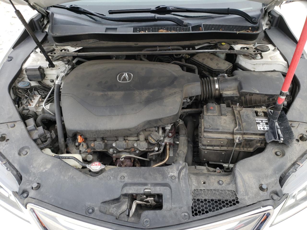 Photo 10 VIN: 19UUB3F55FA005599 - ACURA TLX 