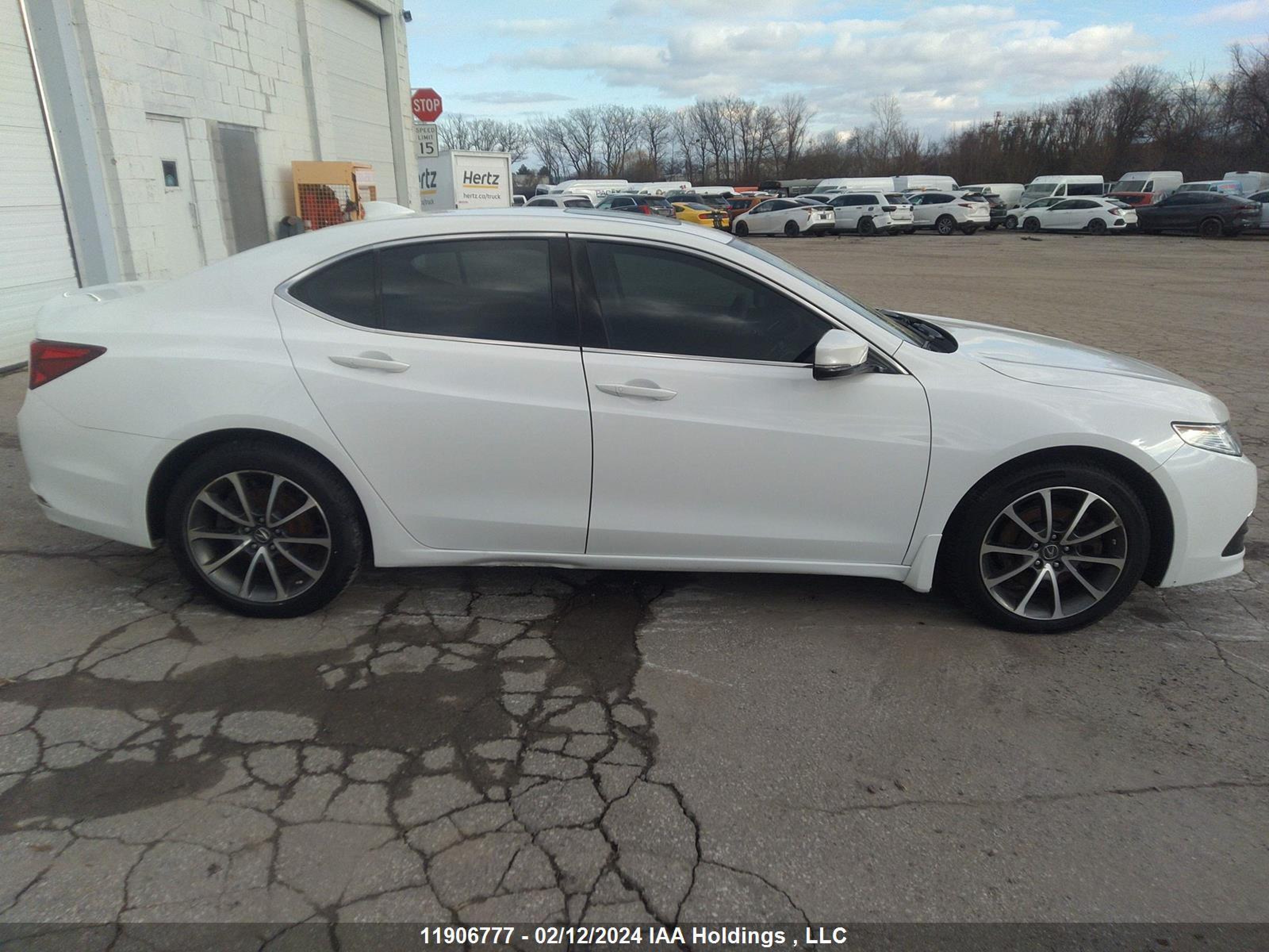 Photo 12 VIN: 19UUB3F55HA800736 - ACURA TLX 