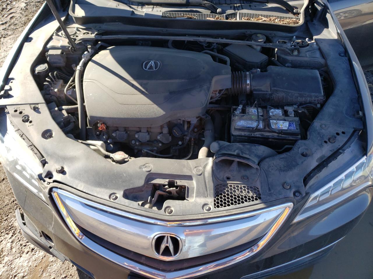 Photo 10 VIN: 19UUB3F56FA004106 - ACURA TLX 