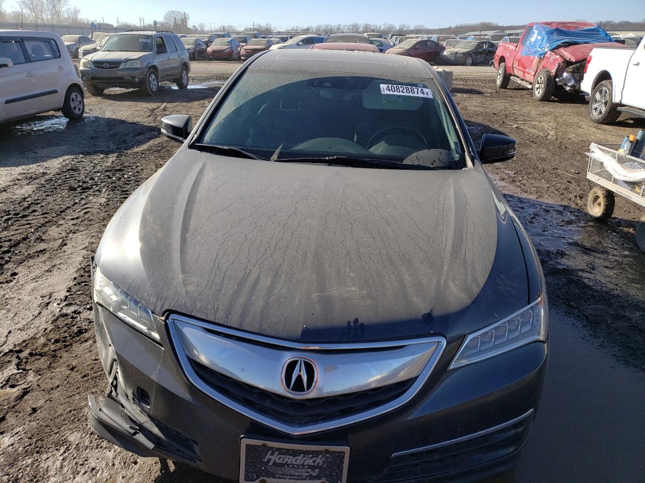 Photo 4 VIN: 19UUB3F56FA004106 - ACURA TLX 