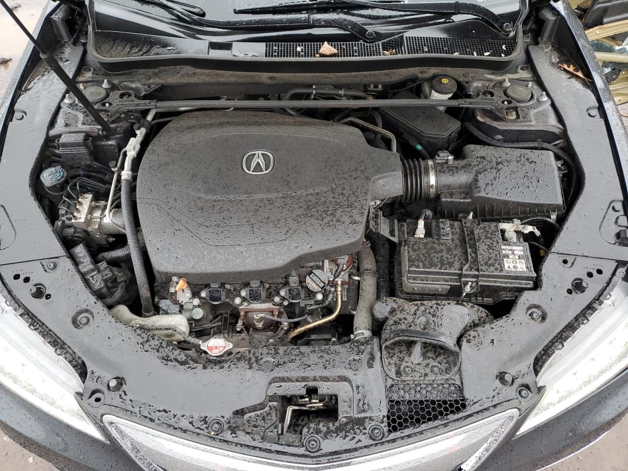 Photo 10 VIN: 19UUB3F59FA000809 - ACURA TLX 